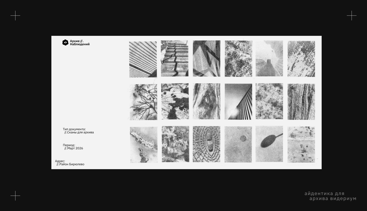 Видериум. Архив наблюдений — Изображение №8 — Брендинг на Dprofile