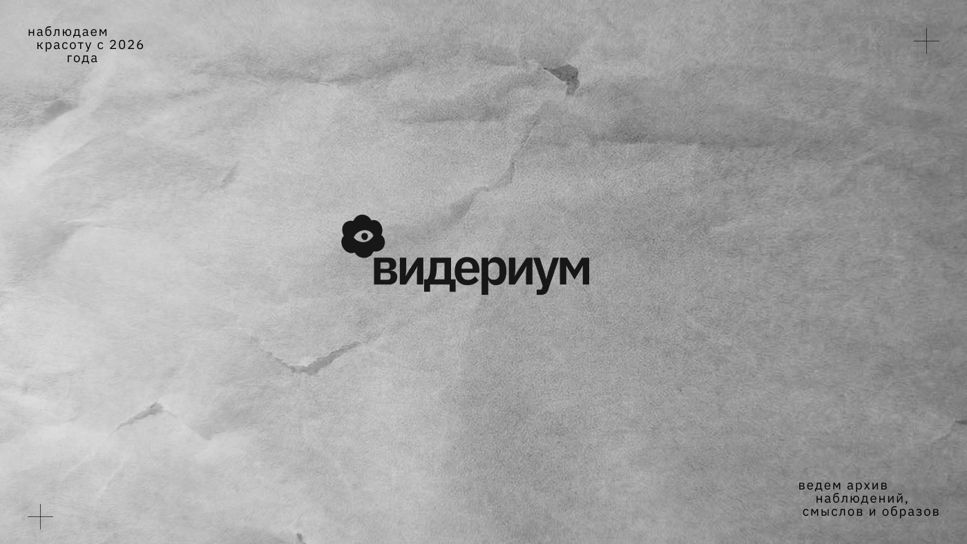 Видериум. Архив наблюдений — Изображение №2 — Брендинг на Dprofile