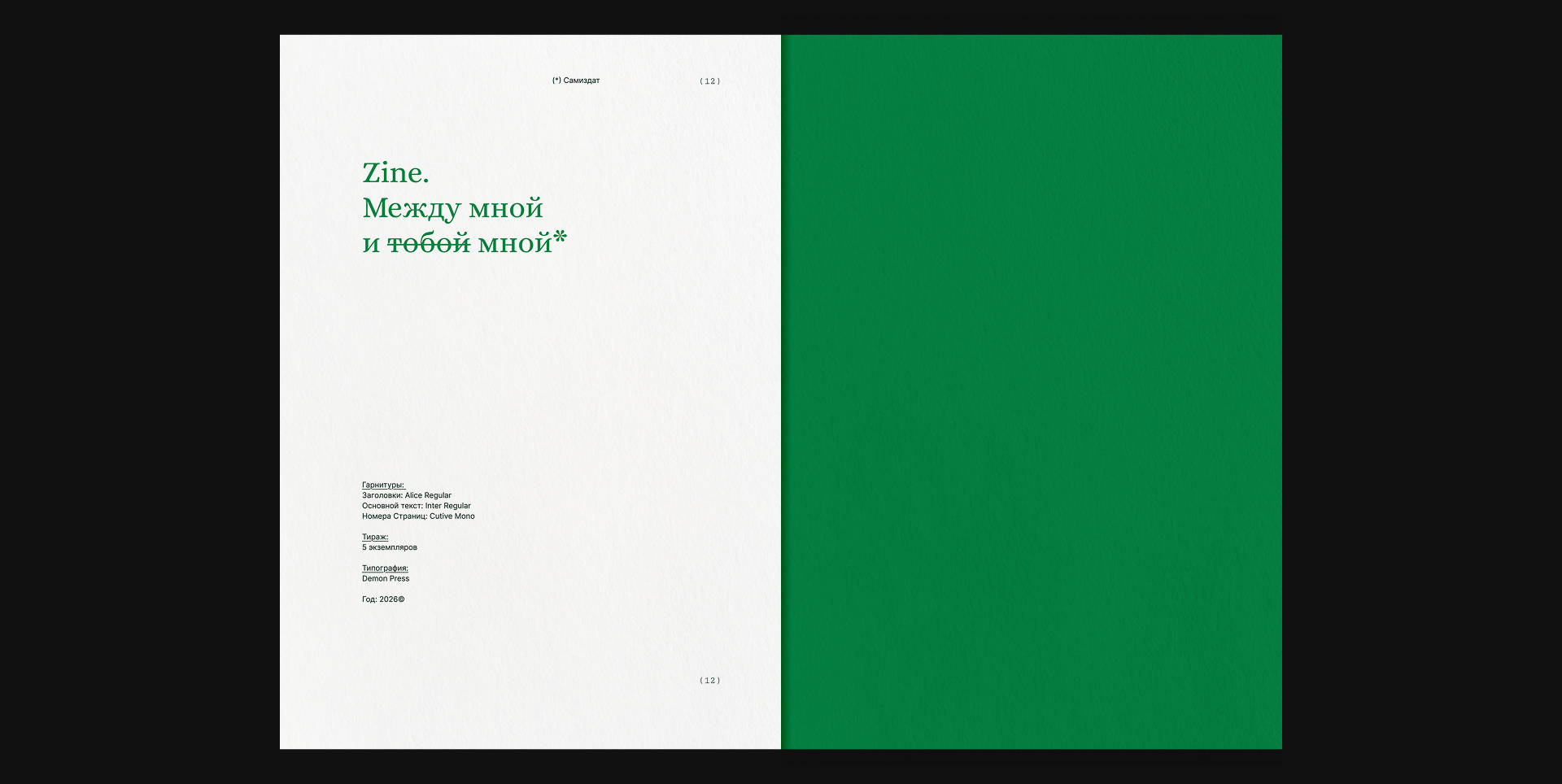Zine. Между мной и тобой (мной) — Изображение №10 — Брендинг, Графика на Dprofile