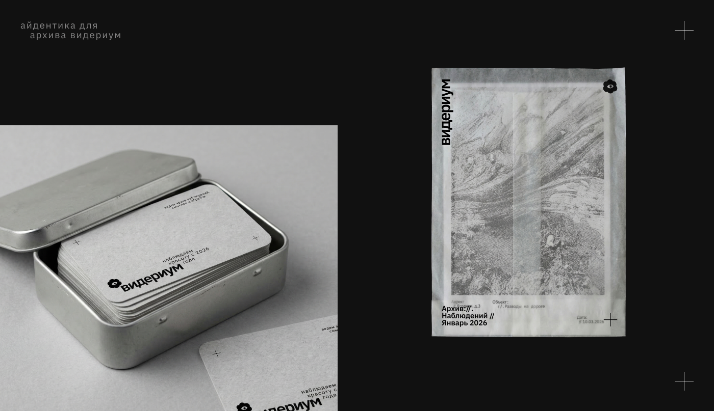 Видериум. Архив наблюдений — Изображение №4 — Брендинг на Dprofile