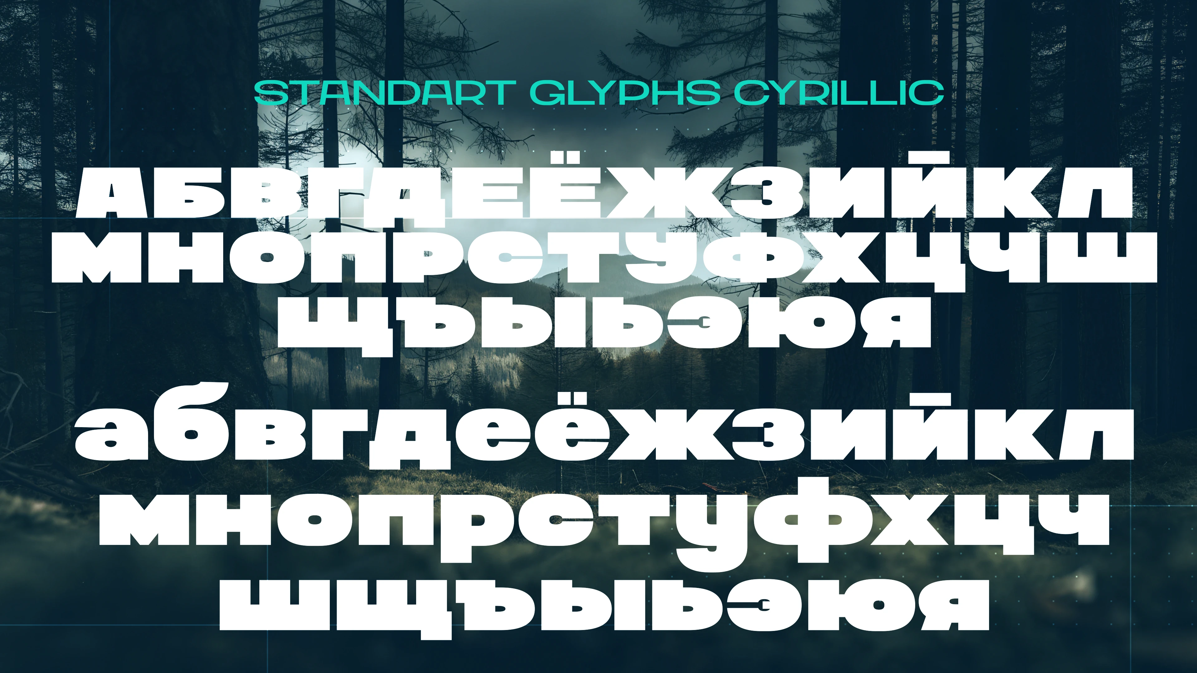 Шрифт RT Kallum bull — Изображение №3 — Графика на Dprofile