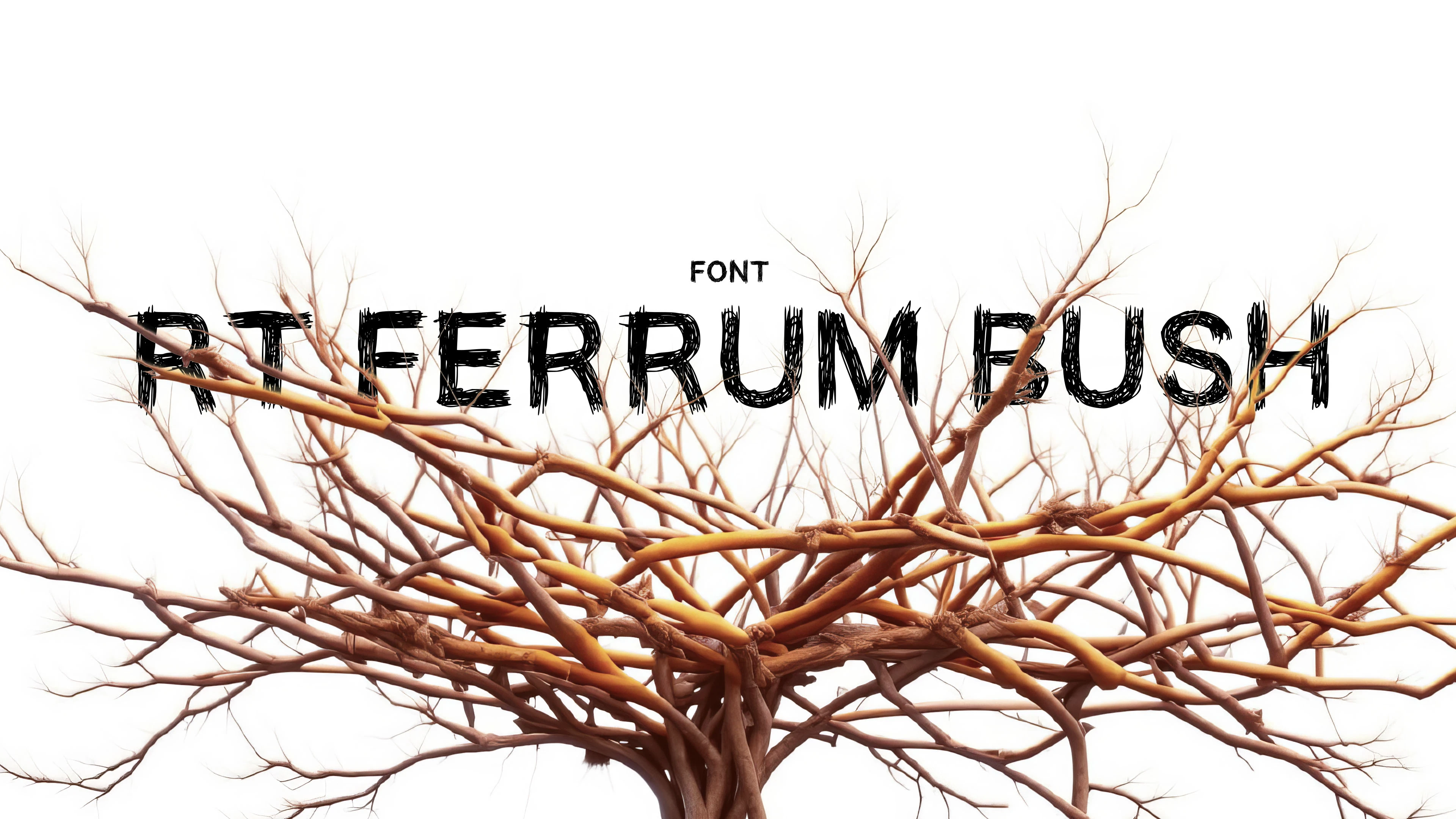 FONT RT Ferrum Bush — Изображение №1 — Графика на Dprofile