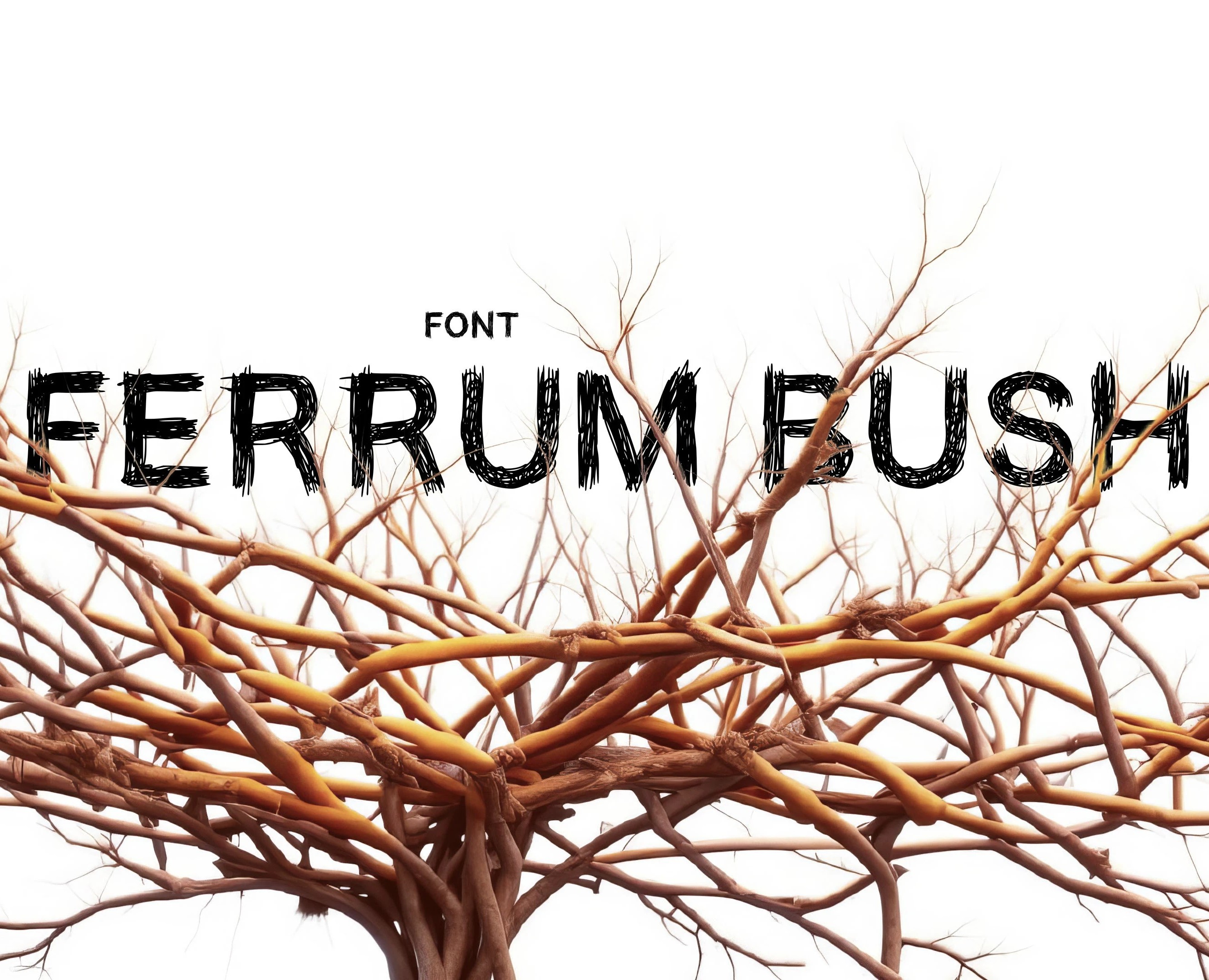 FONT RT Ferrum Bush — Графика на Dprofile