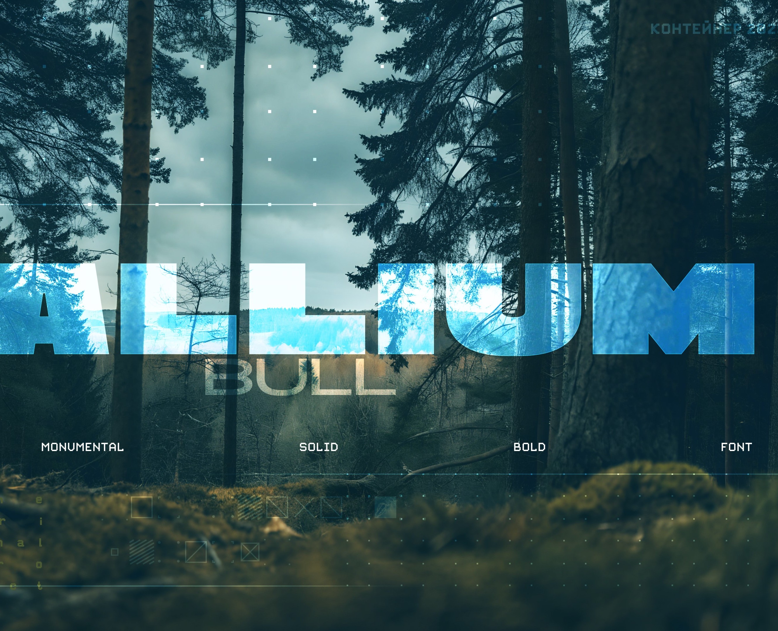 Шрифт RT Kallum bull — Графика на Dprofile
