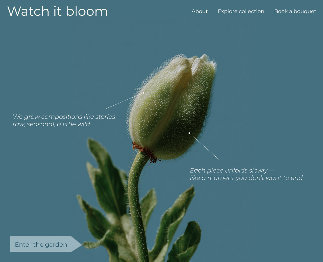 Визуальный концепт для салона цветов. Watch it bloom — Анимация, Маркетинг на Dprofile