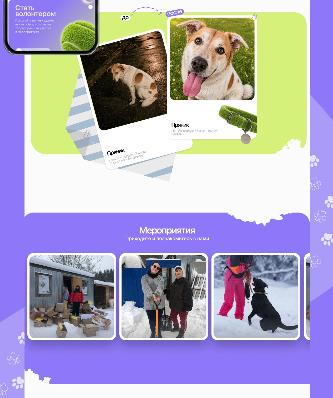 Animal Shelter Website Design | UX/UI Case Study — Изображение №19 — Интерфейсы на Dprofile