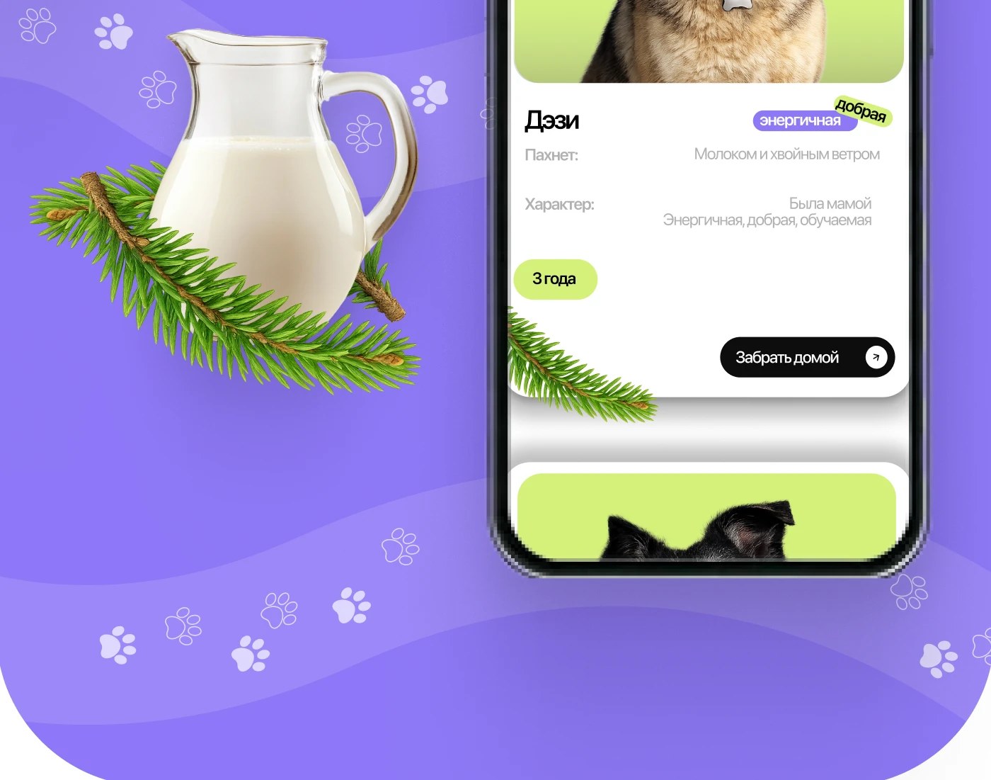 Animal Shelter Website Design | UX/UI Case Study — Изображение №8 — Интерфейсы на Dprofile