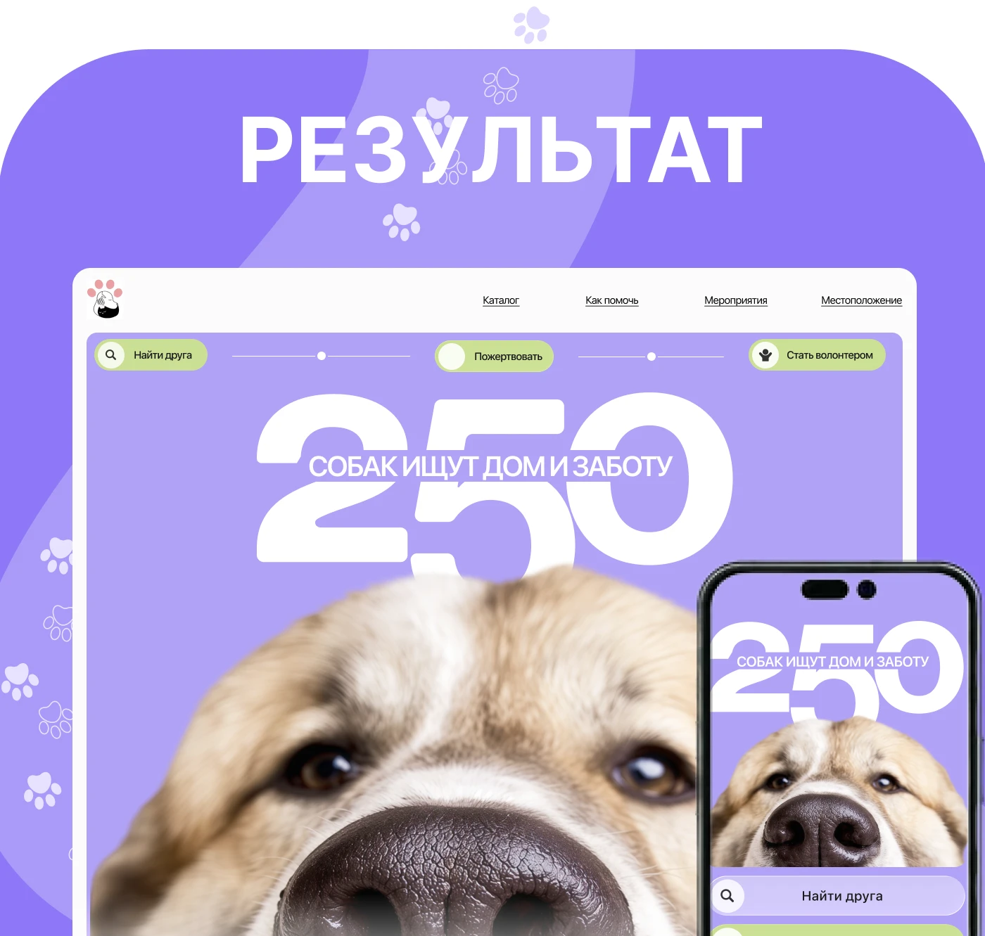 Animal Shelter Website Design | UX/UI Case Study — Изображение №17 — Интерфейсы на Dprofile