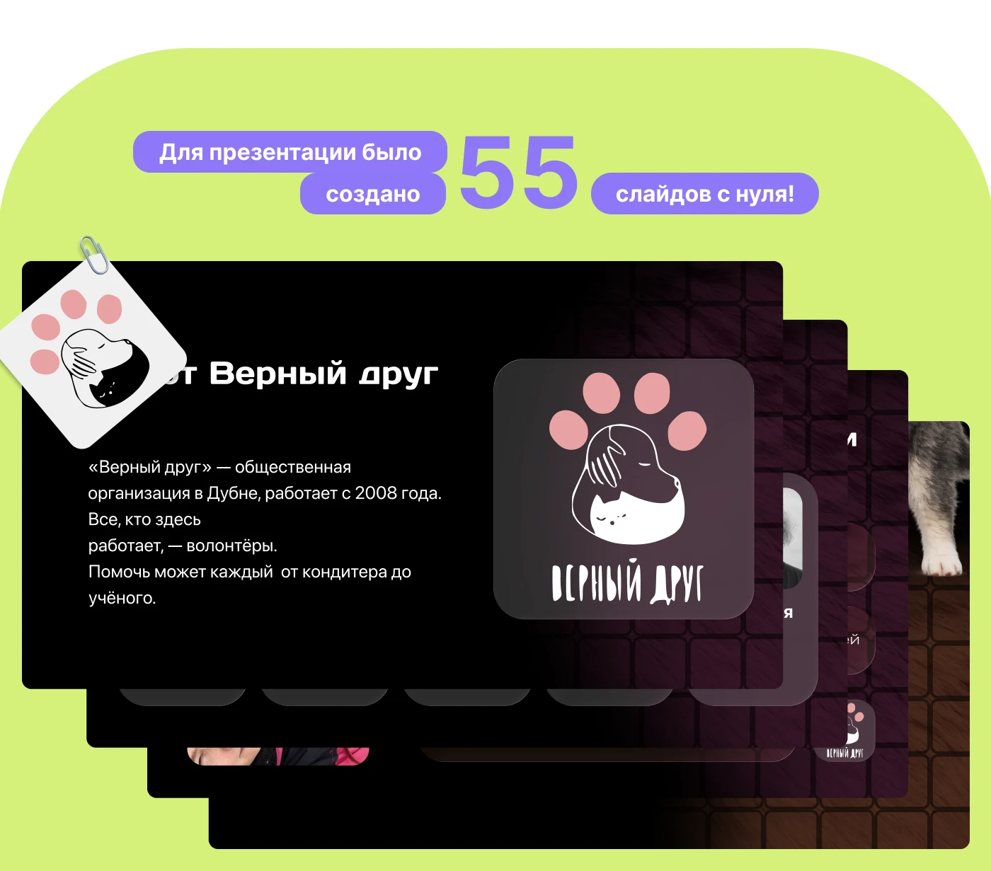 Animal Shelter Website Design | UX/UI Case Study — Изображение №12 — Интерфейсы на Dprofile