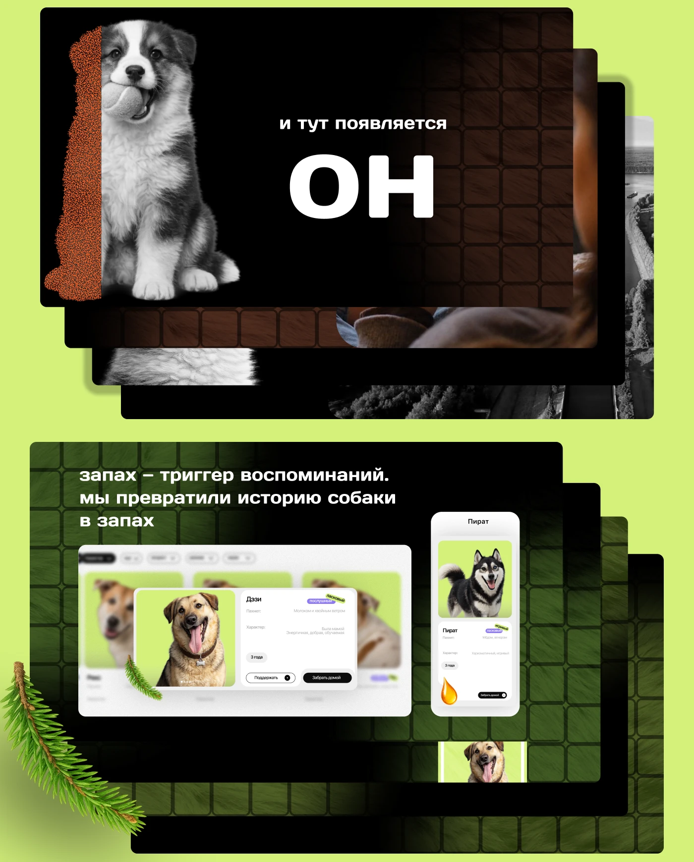 Animal Shelter Website Design | UX/UI Case Study — Изображение №13 — Интерфейсы на Dprofile