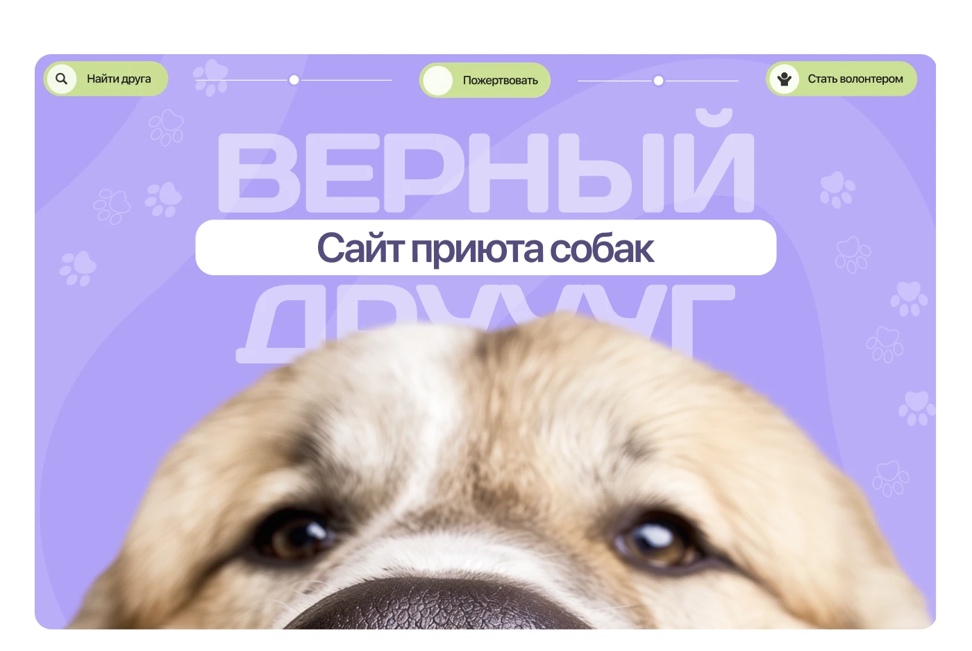 Animal Shelter Website Design | UX/UI Case Study — Изображение №1 — Интерфейсы на Dprofile