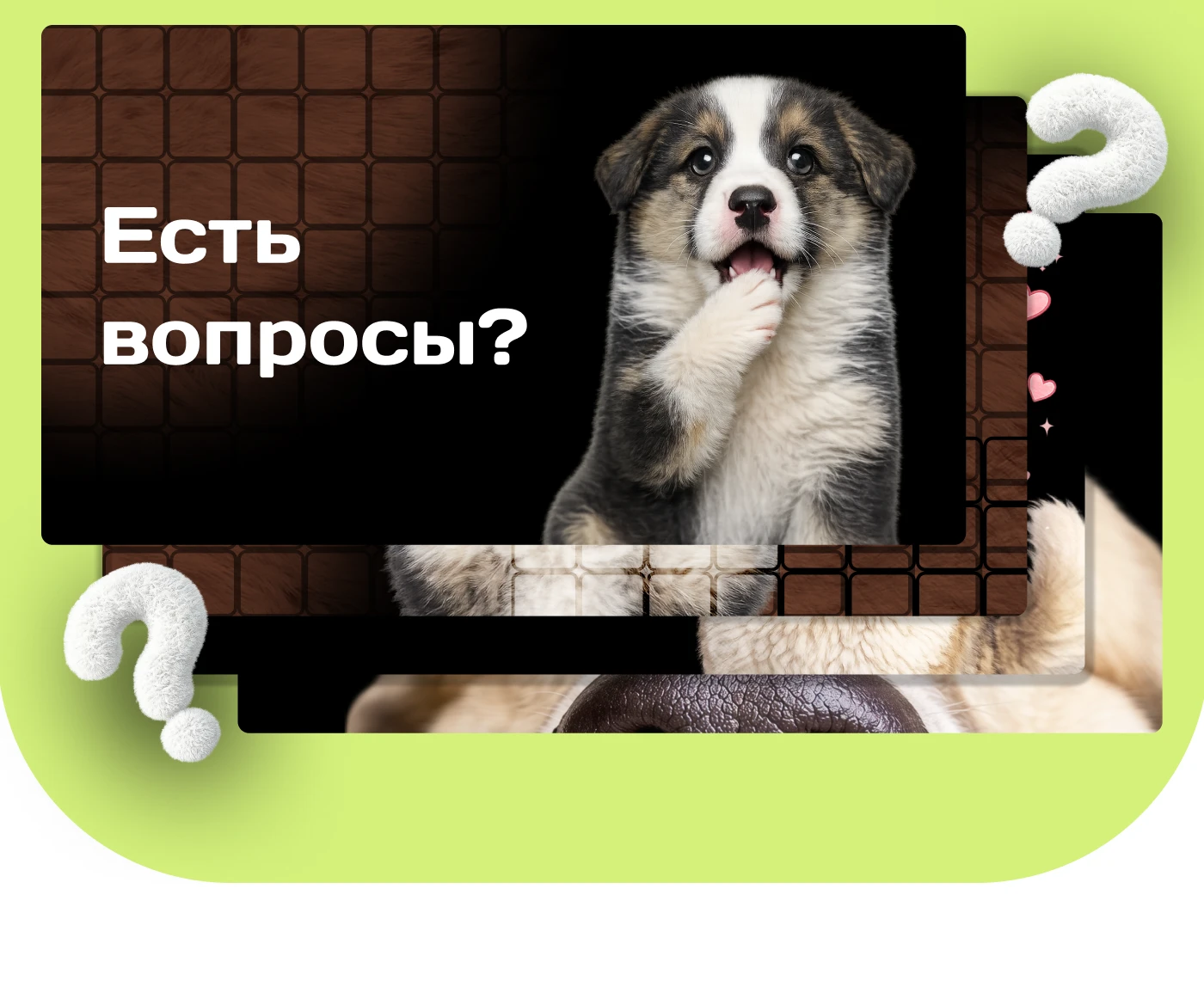 Animal Shelter Website Design | UX/UI Case Study — Изображение №14 — Интерфейсы на Dprofile