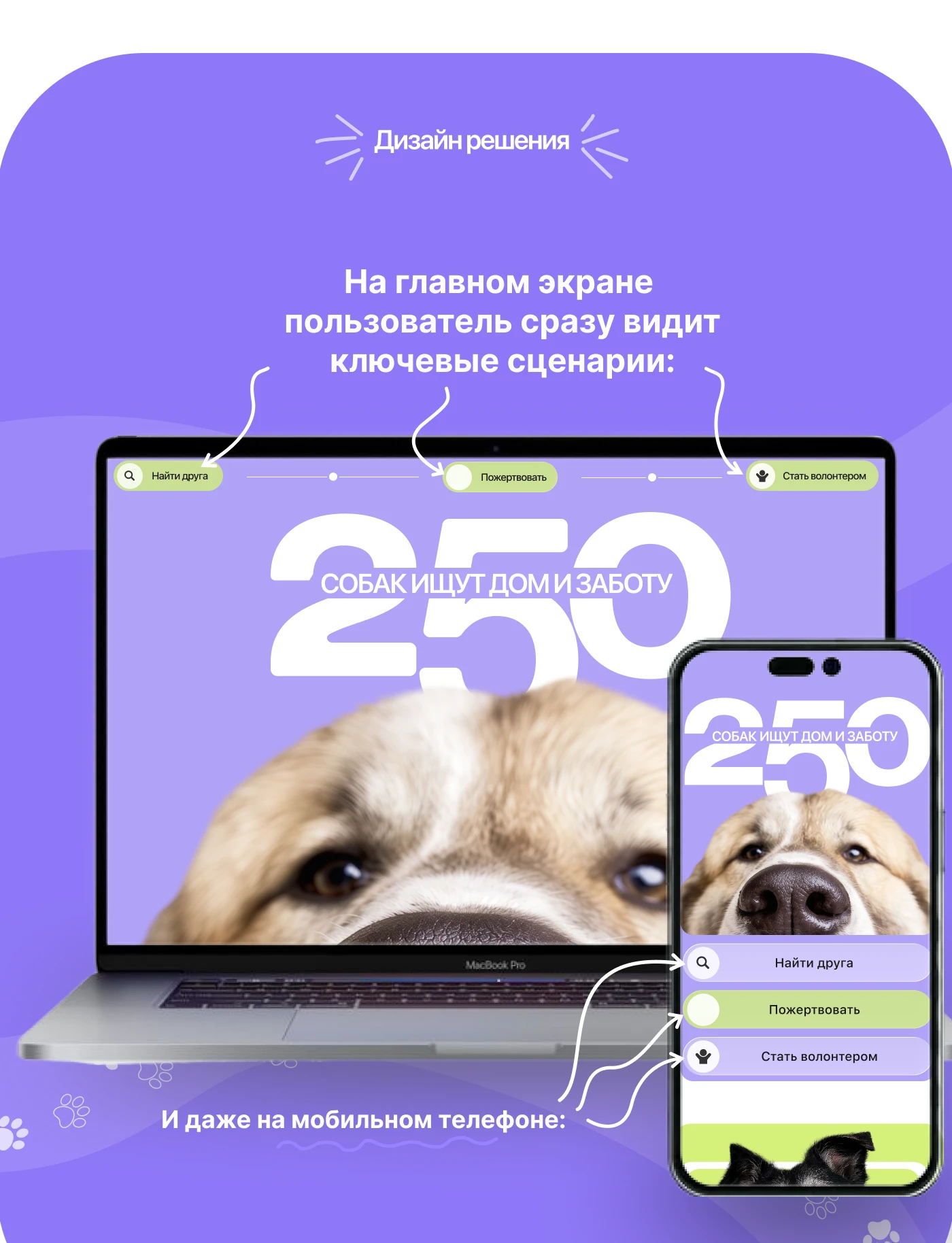 Animal Shelter Website Design | UX/UI Case Study — Изображение №5 — Интерфейсы на Dprofile