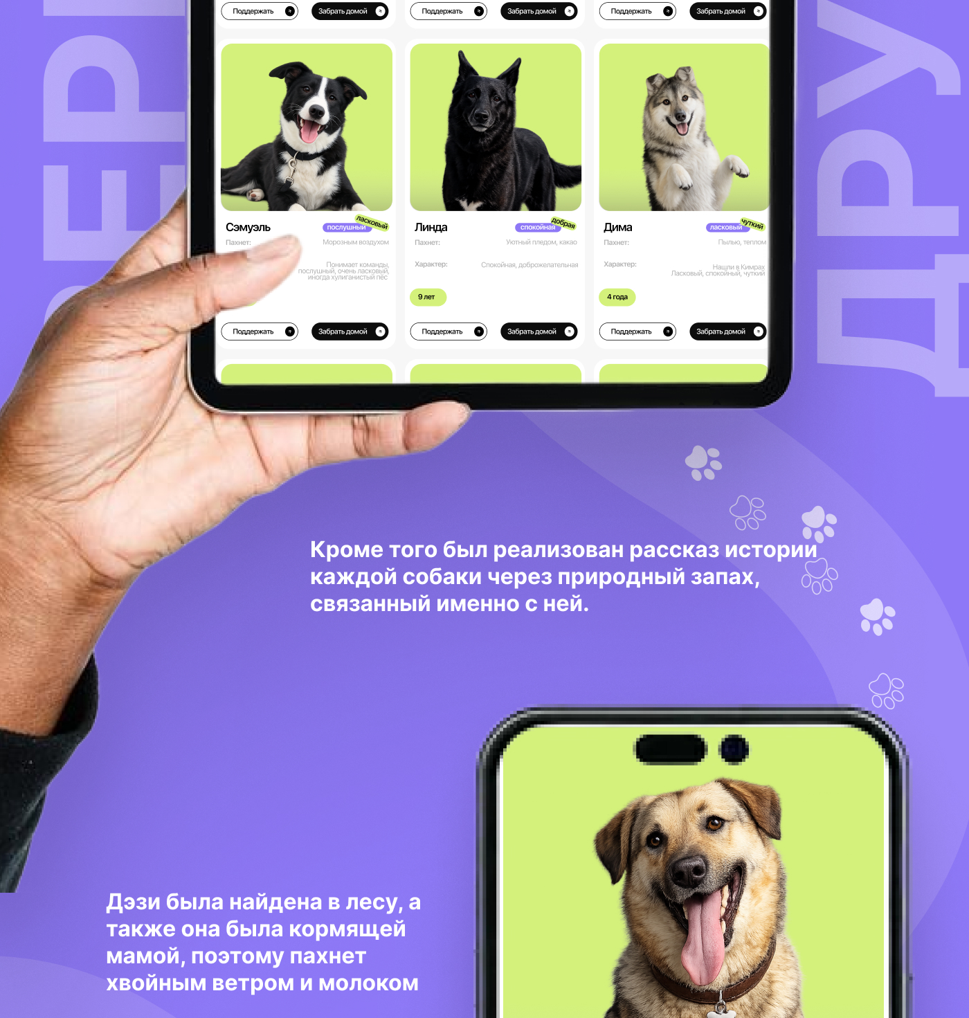Animal Shelter Website Design | UX/UI Case Study — Изображение №7 — Интерфейсы на Dprofile