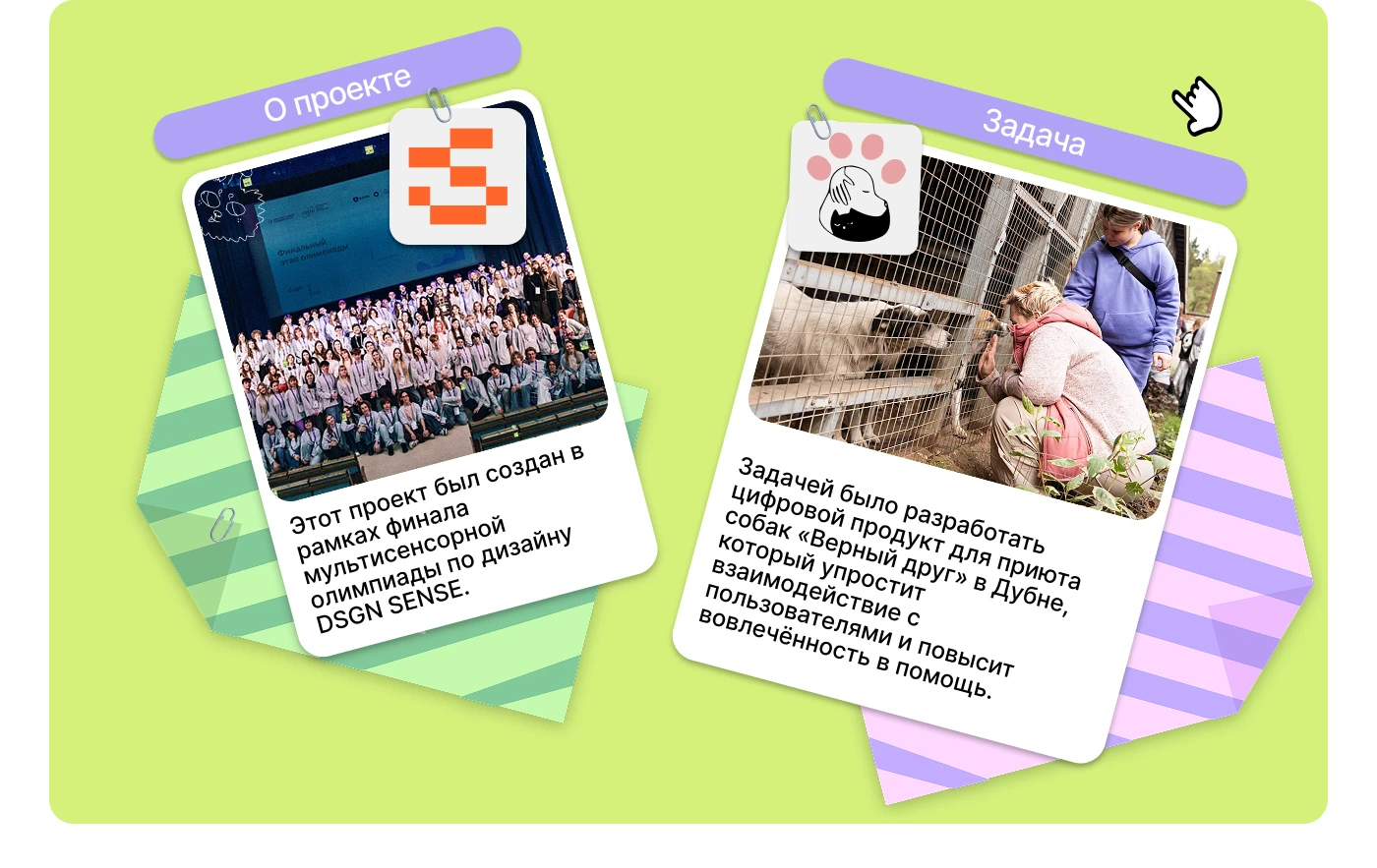 Animal Shelter Website Design | UX/UI Case Study — Изображение №2 — Интерфейсы на Dprofile