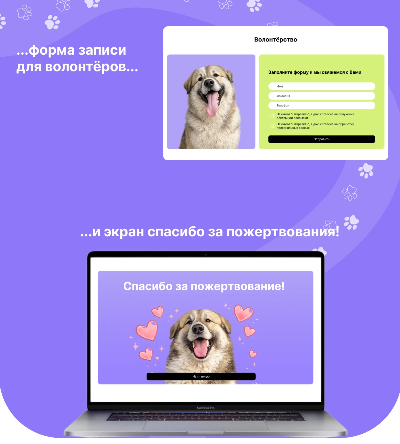Animal Shelter Website Design | UX/UI Case Study — Изображение №10 — Интерфейсы на Dprofile
