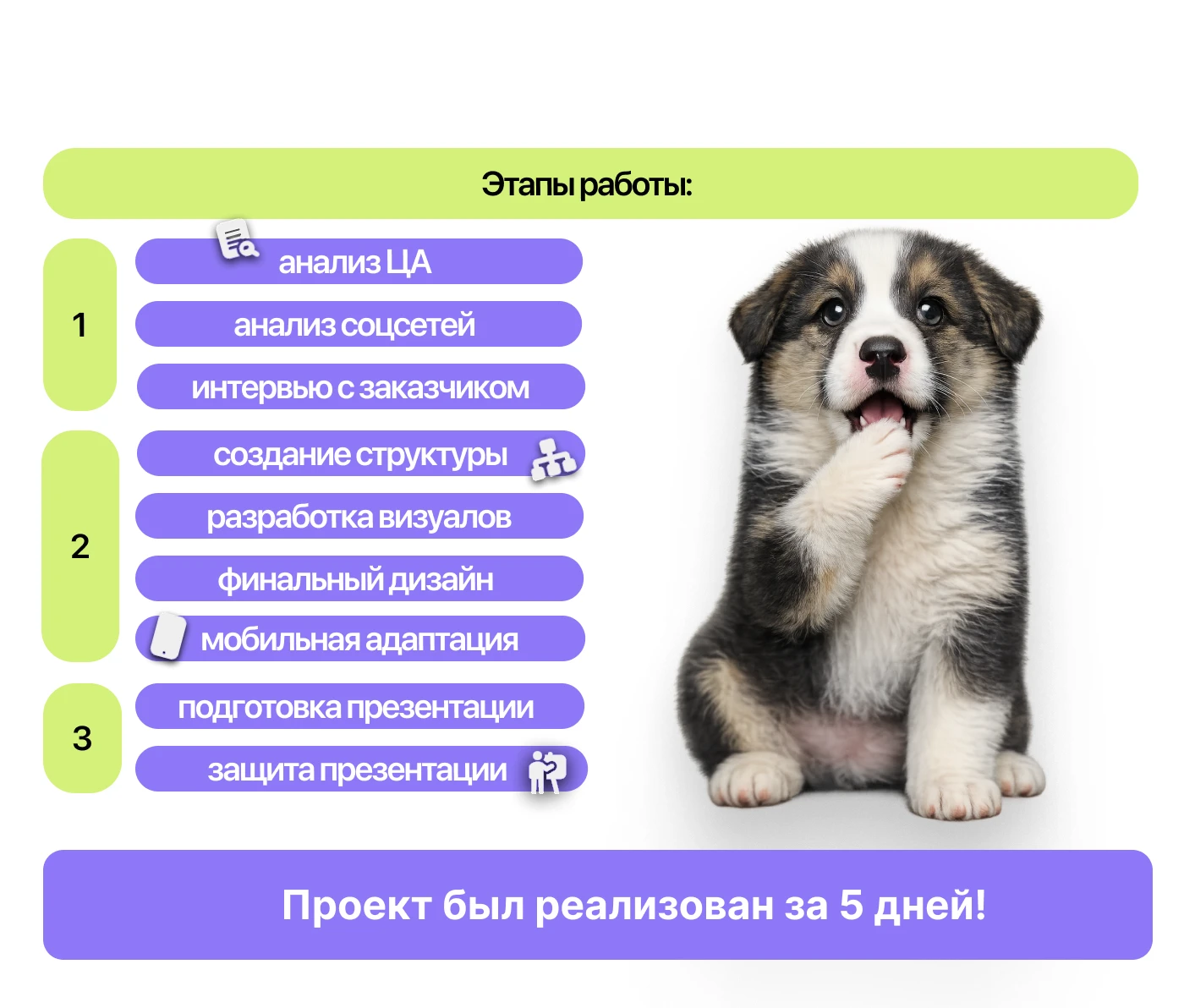 Animal Shelter Website Design | UX/UI Case Study — Изображение №15 — Интерфейсы на Dprofile