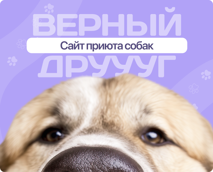 Animal Shelter Website Design | UX/UI Case Study — Интерфейсы на Dprofile