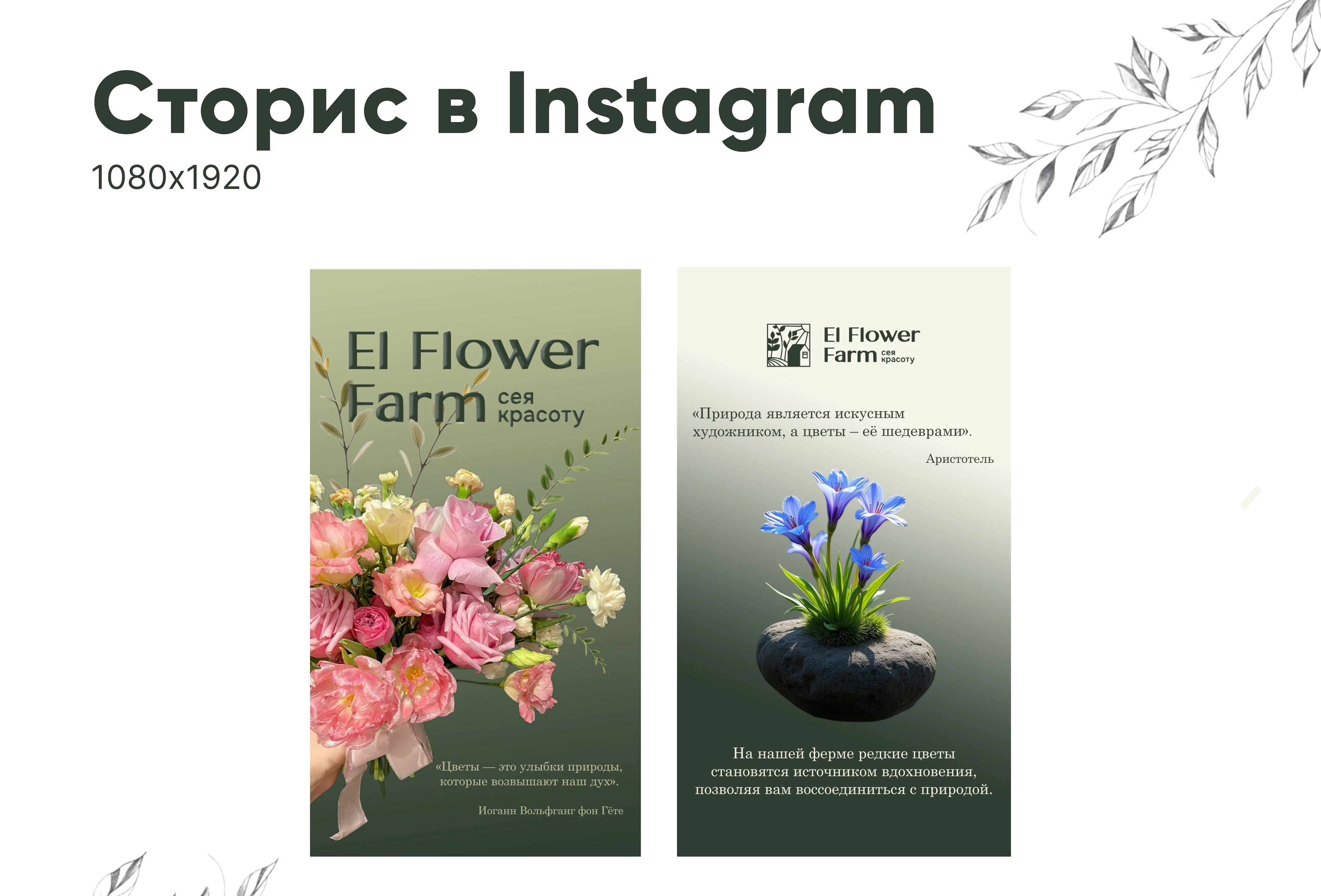 Банеры для Цветочной Ферммы El Flower Farm — Изображение №7 — Интерфейсы, Маркетинг на Dprofile