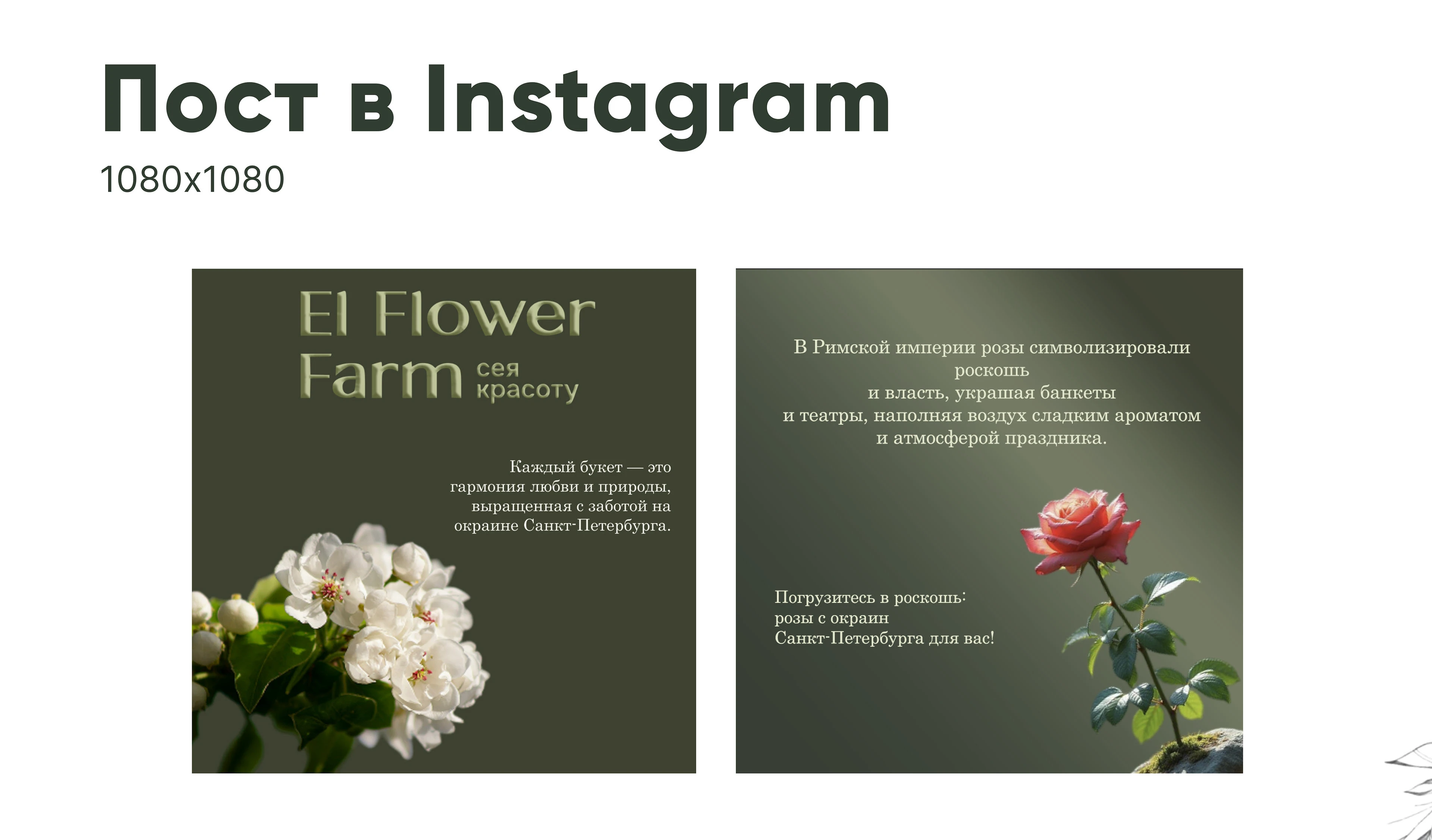 Банеры для Цветочной Ферммы El Flower Farm — Изображение №6 — Интерфейсы, Маркетинг на Dprofile