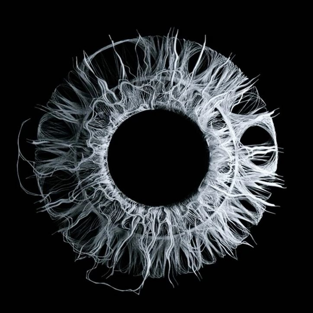 Аватар пользователя Хамзат Плиев