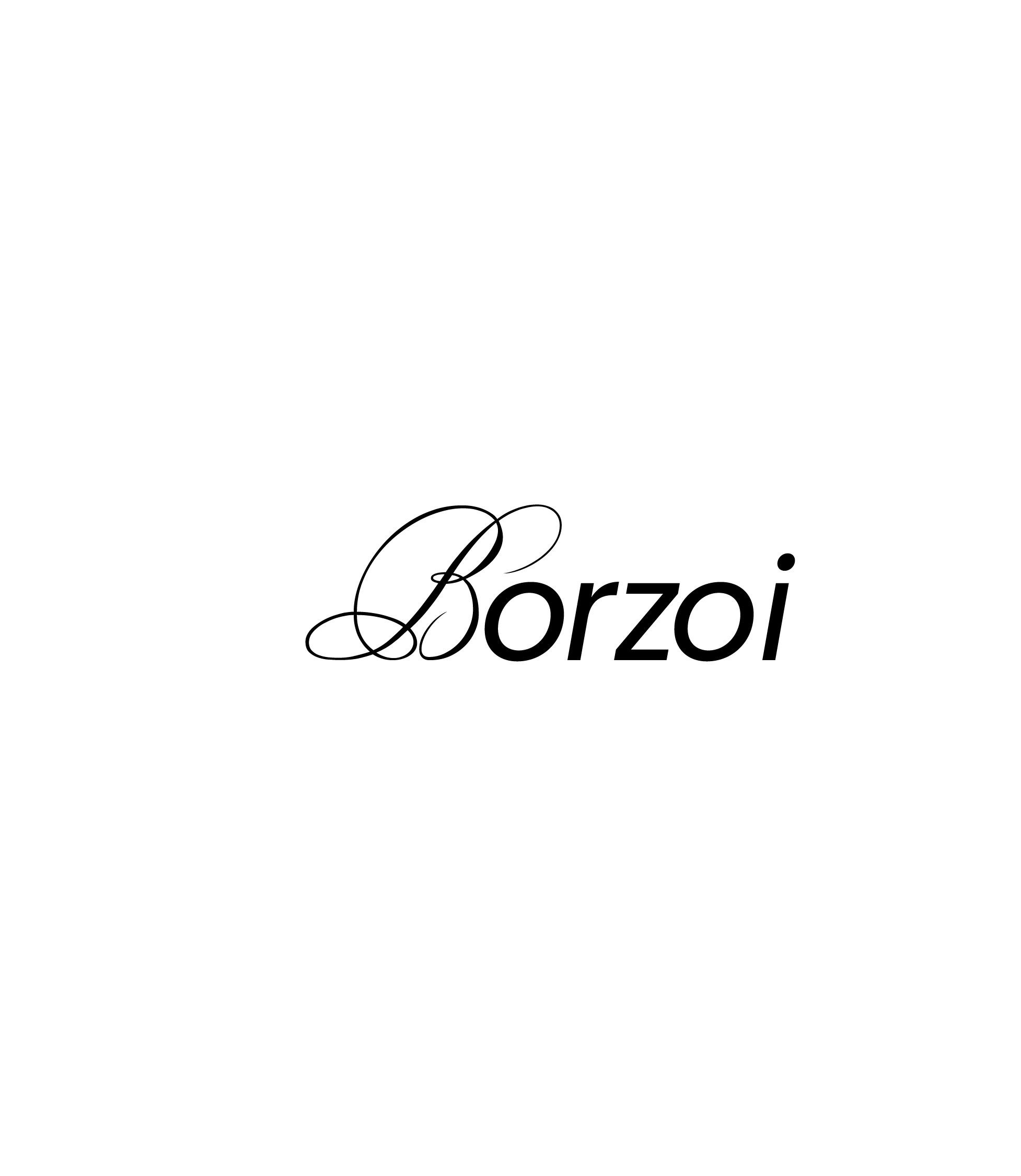 pёs BORZOI | концепция сувенирной продукции — Изображение №10 — Брендинг, Графика на Dprofile