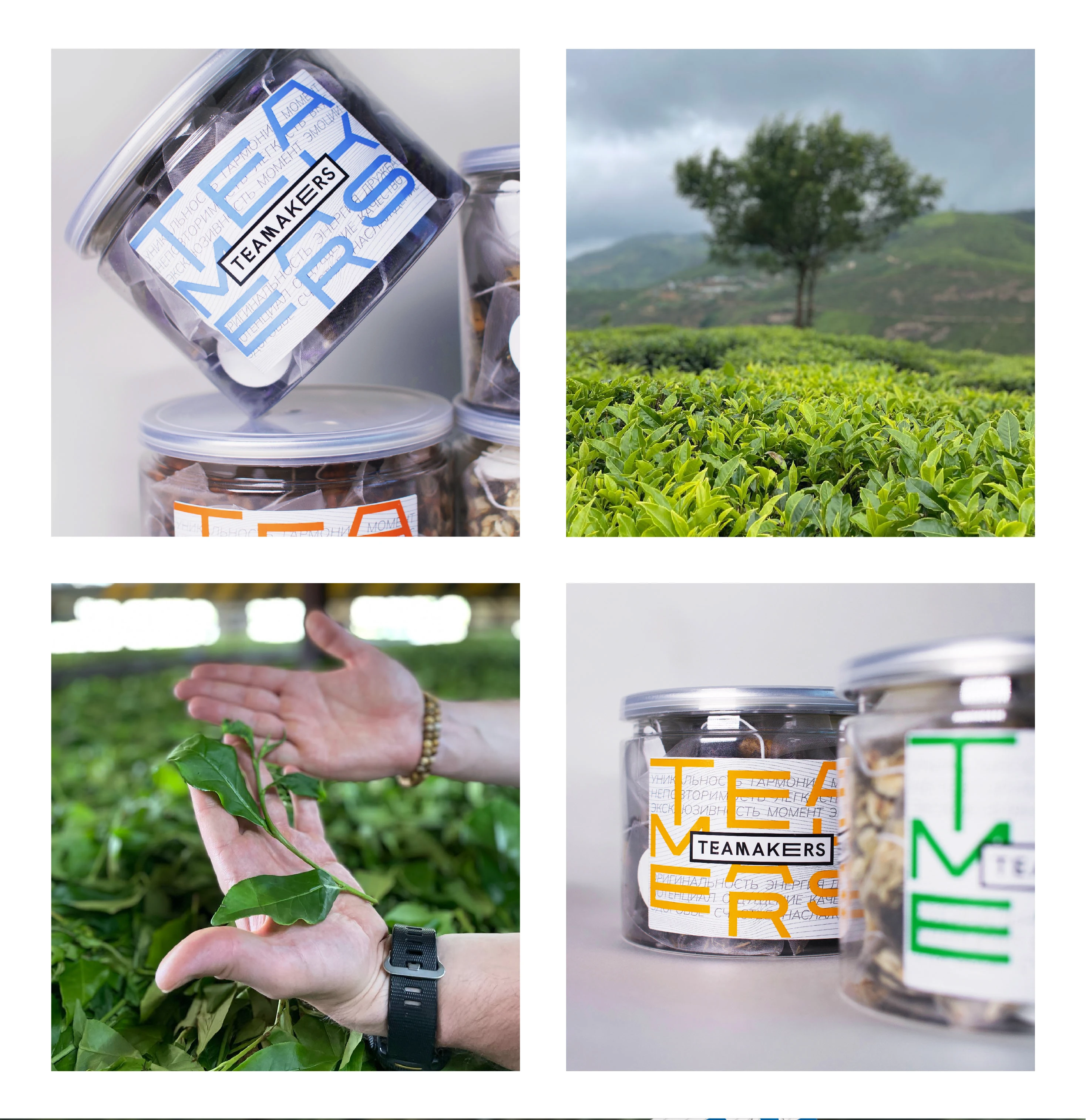 Айдентика для чайного проекта "Teamakers" — Изображение №10 — Брендинг на Dprofile