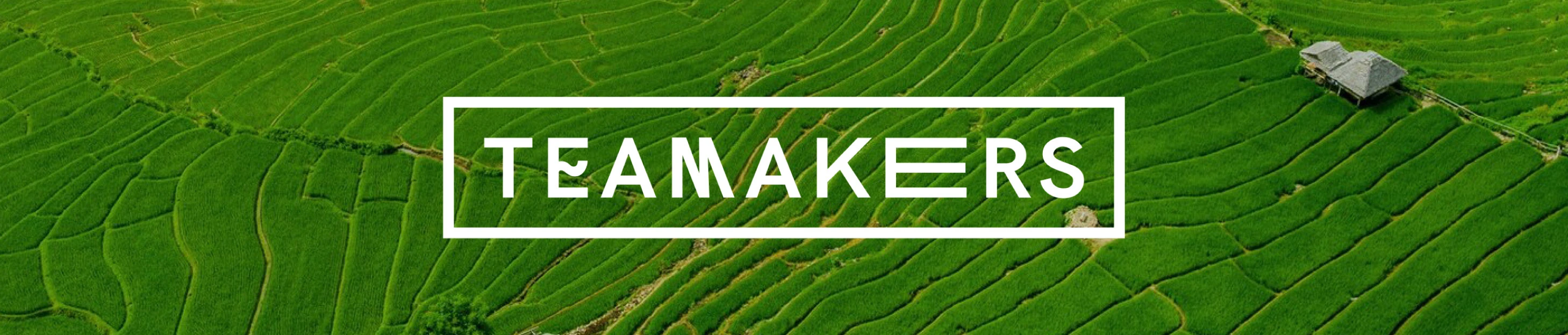 Айдентика для чайного проекта "Teamakers" — Изображение №16 — Брендинг на Dprofile