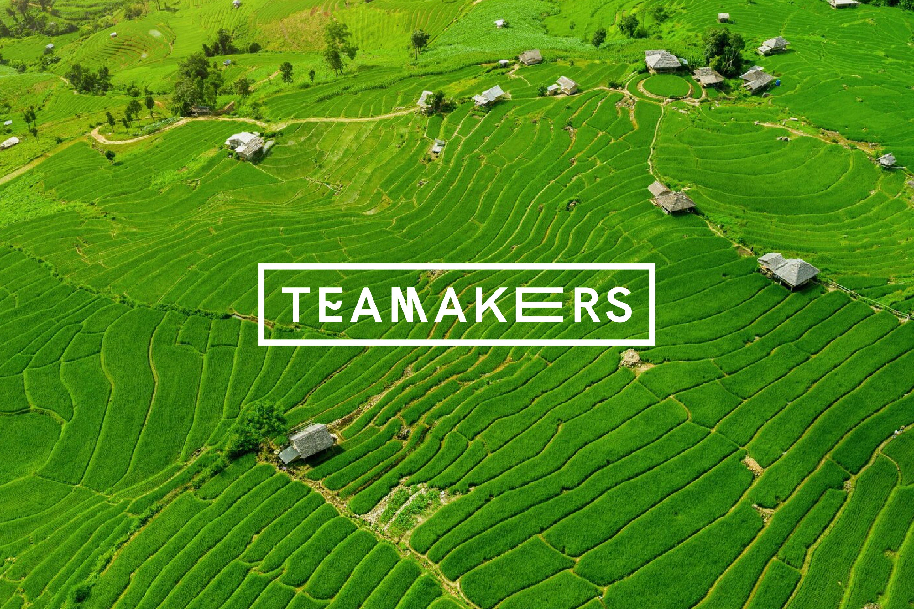 Айдентика для чайного проекта "Teamakers" — Изображение №1 — Брендинг на Dprofile