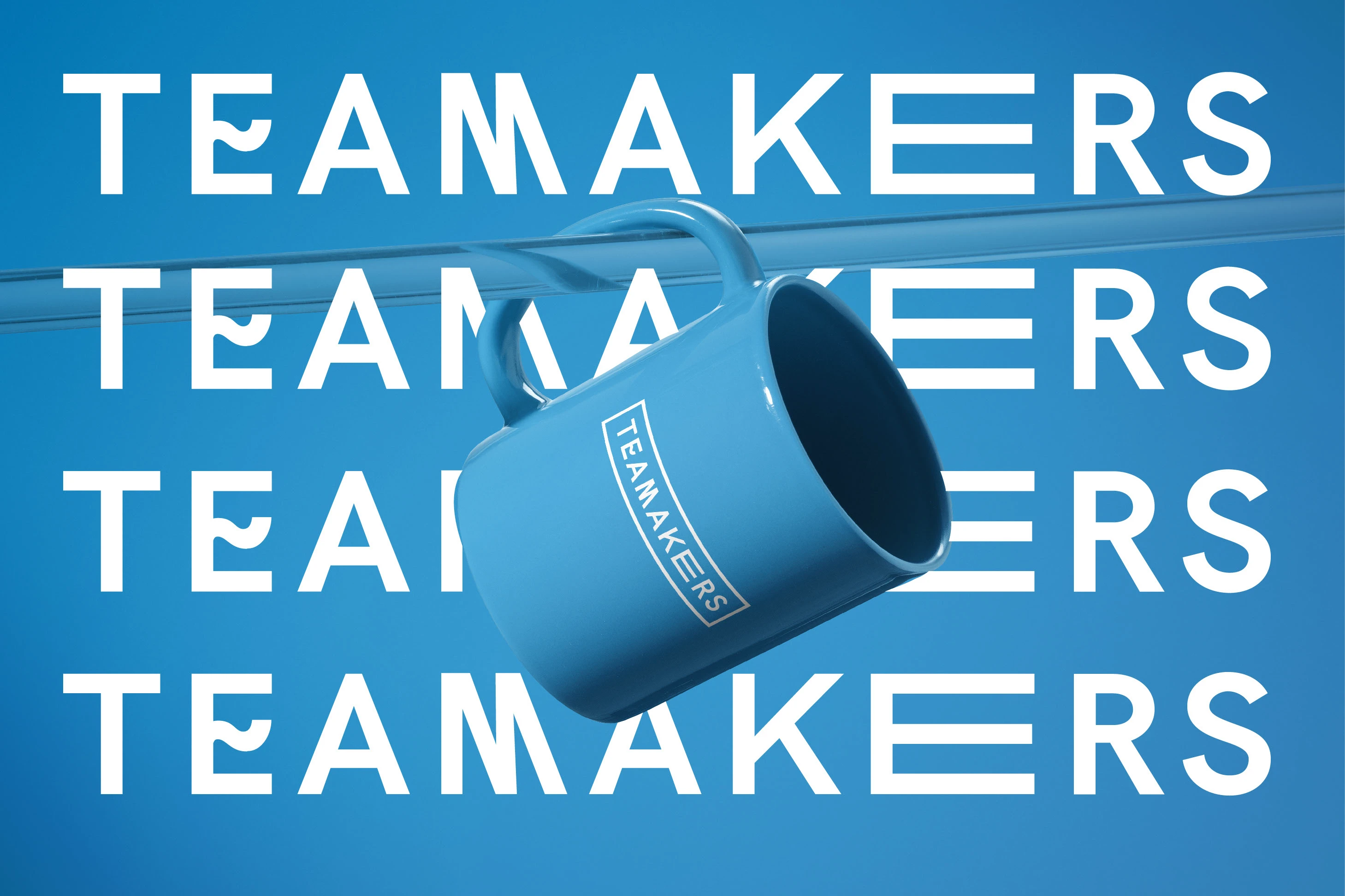 Айдентика для чайного проекта "Teamakers" — Изображение №9 — Брендинг на Dprofile