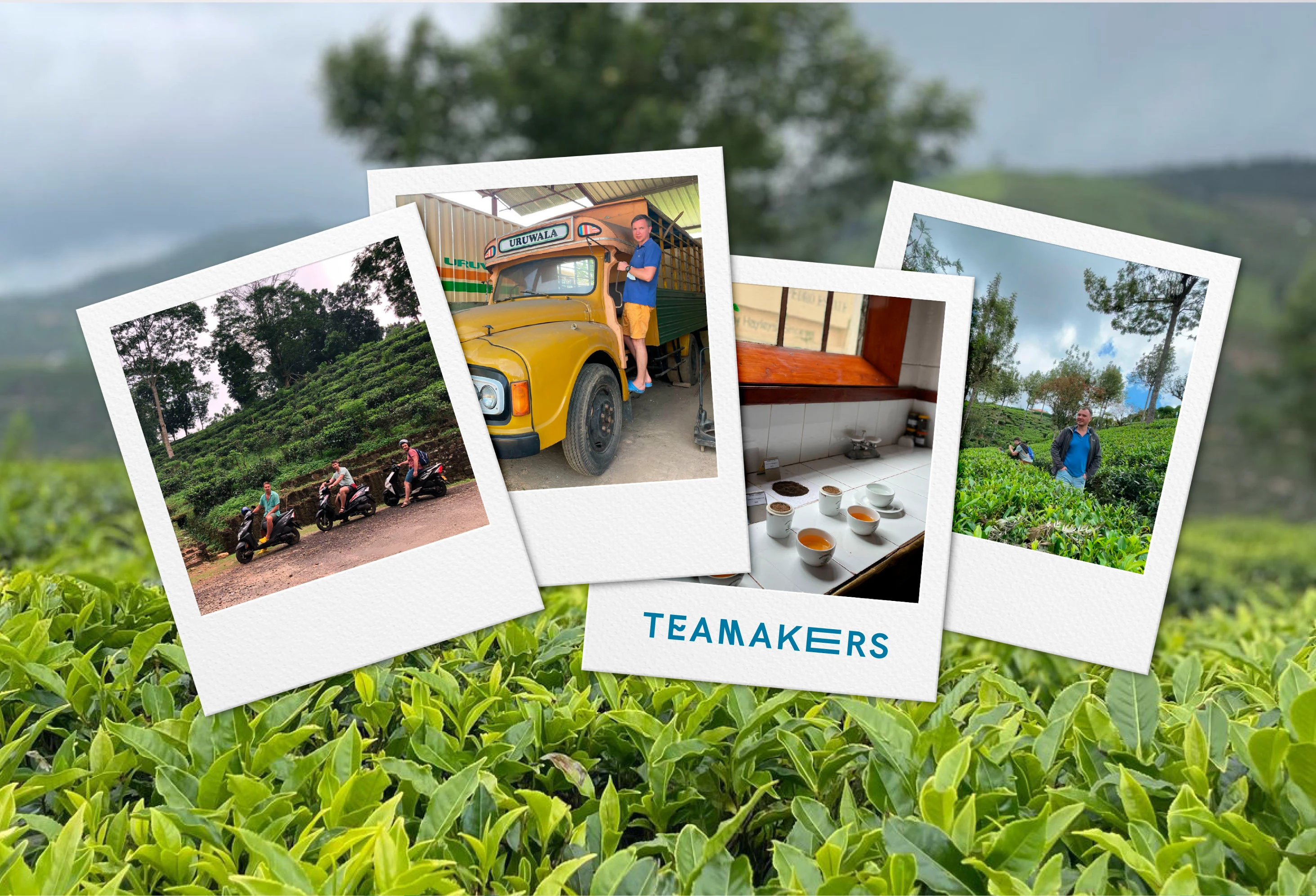 Айдентика для чайного проекта "Teamakers" — Изображение №13 — Брендинг на Dprofile