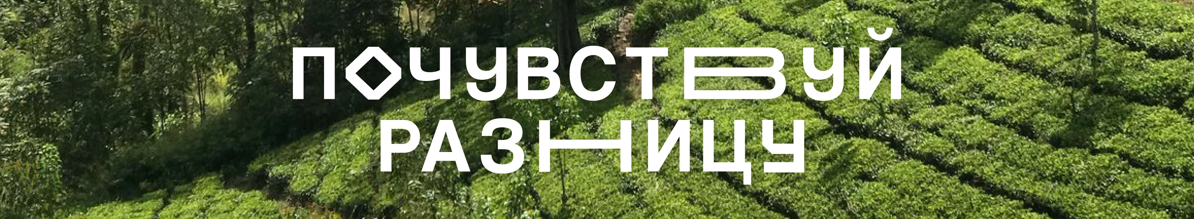 Айдентика для чайного проекта "Teamakers" — Изображение №19 — Брендинг на Dprofile