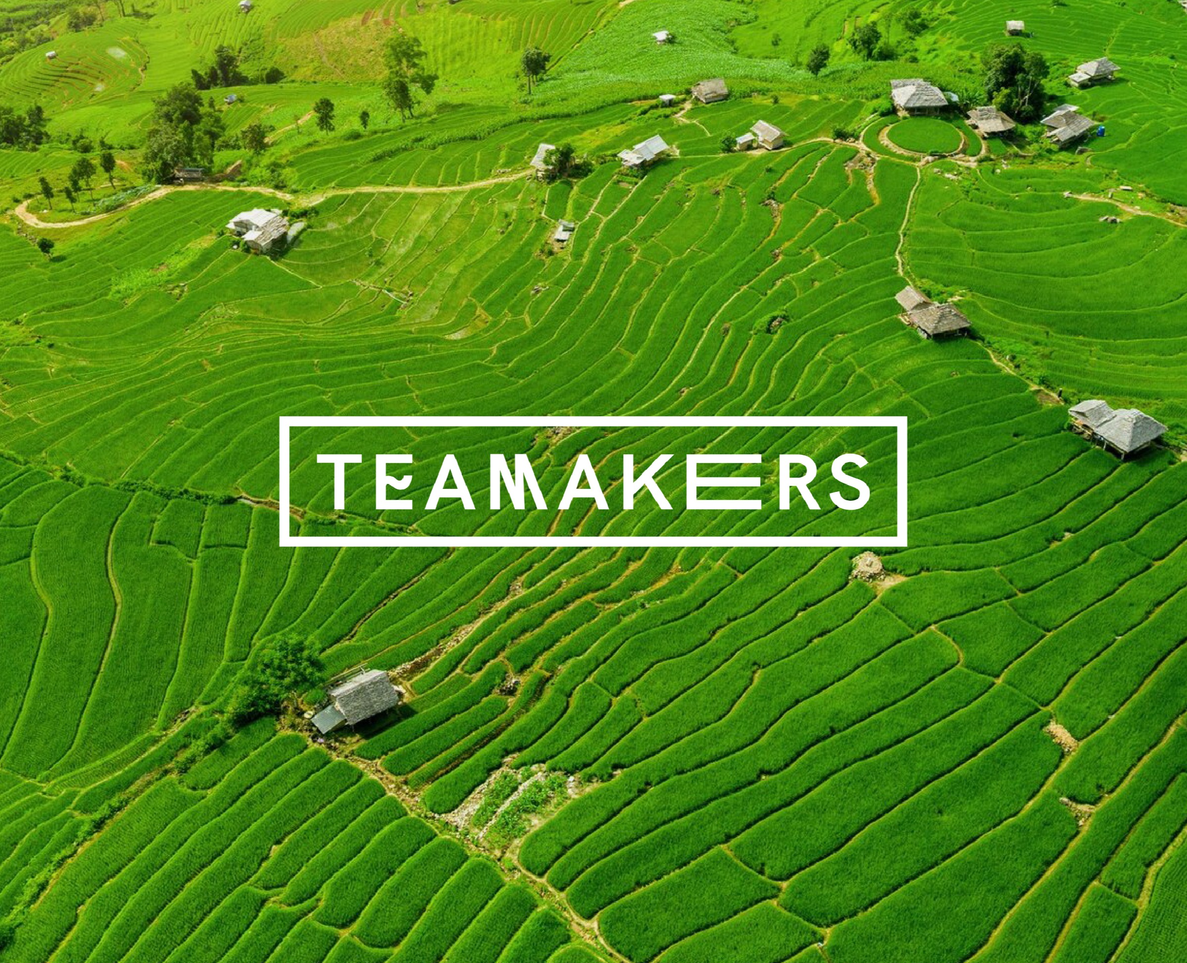 Айдентика для чайного проекта "Teamakers" — Брендинг на Dprofile