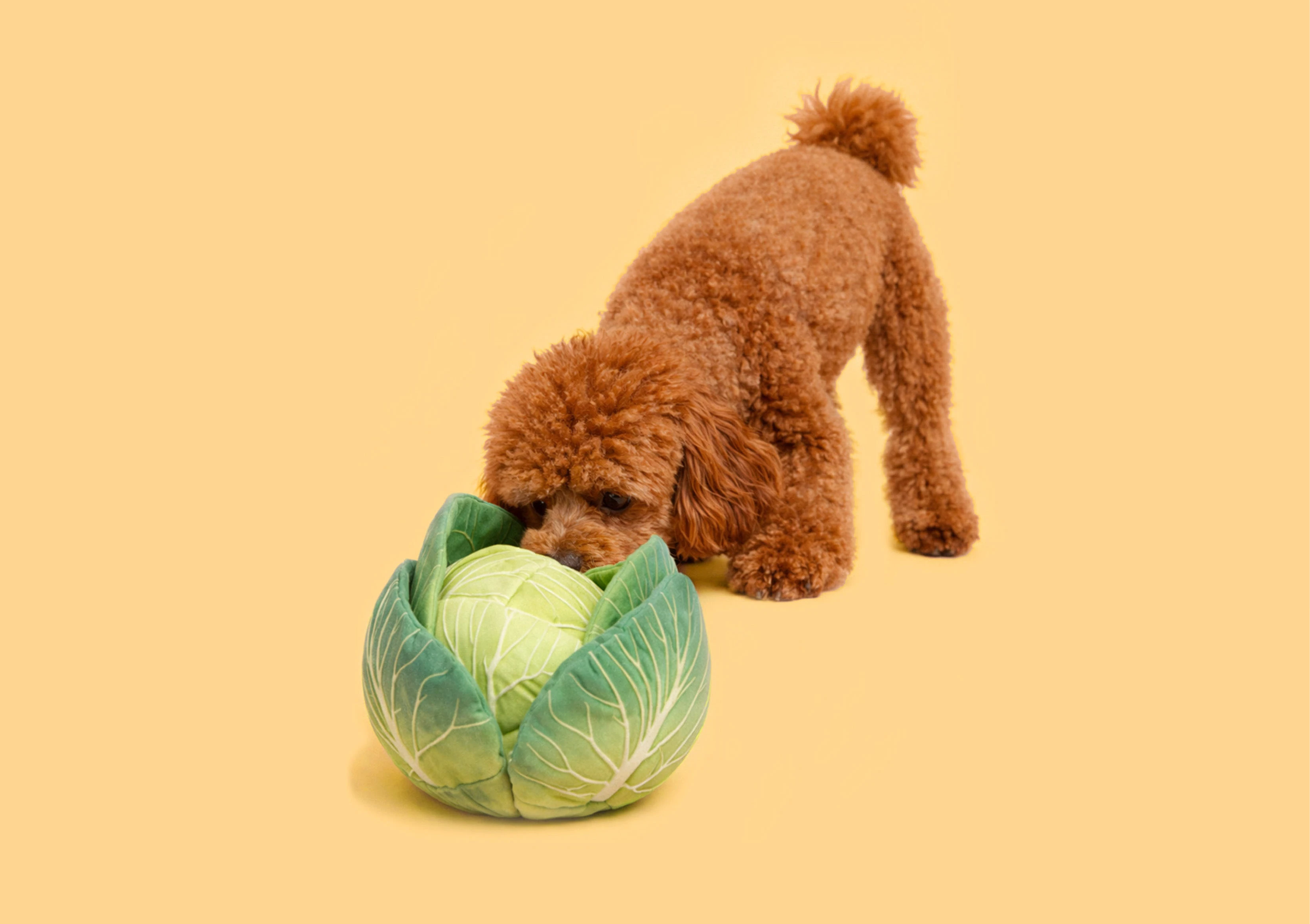 Упаковка для бренда Veggie Tail — Изображение №1 — Иллюстрация, Промдизайн на Dprofile