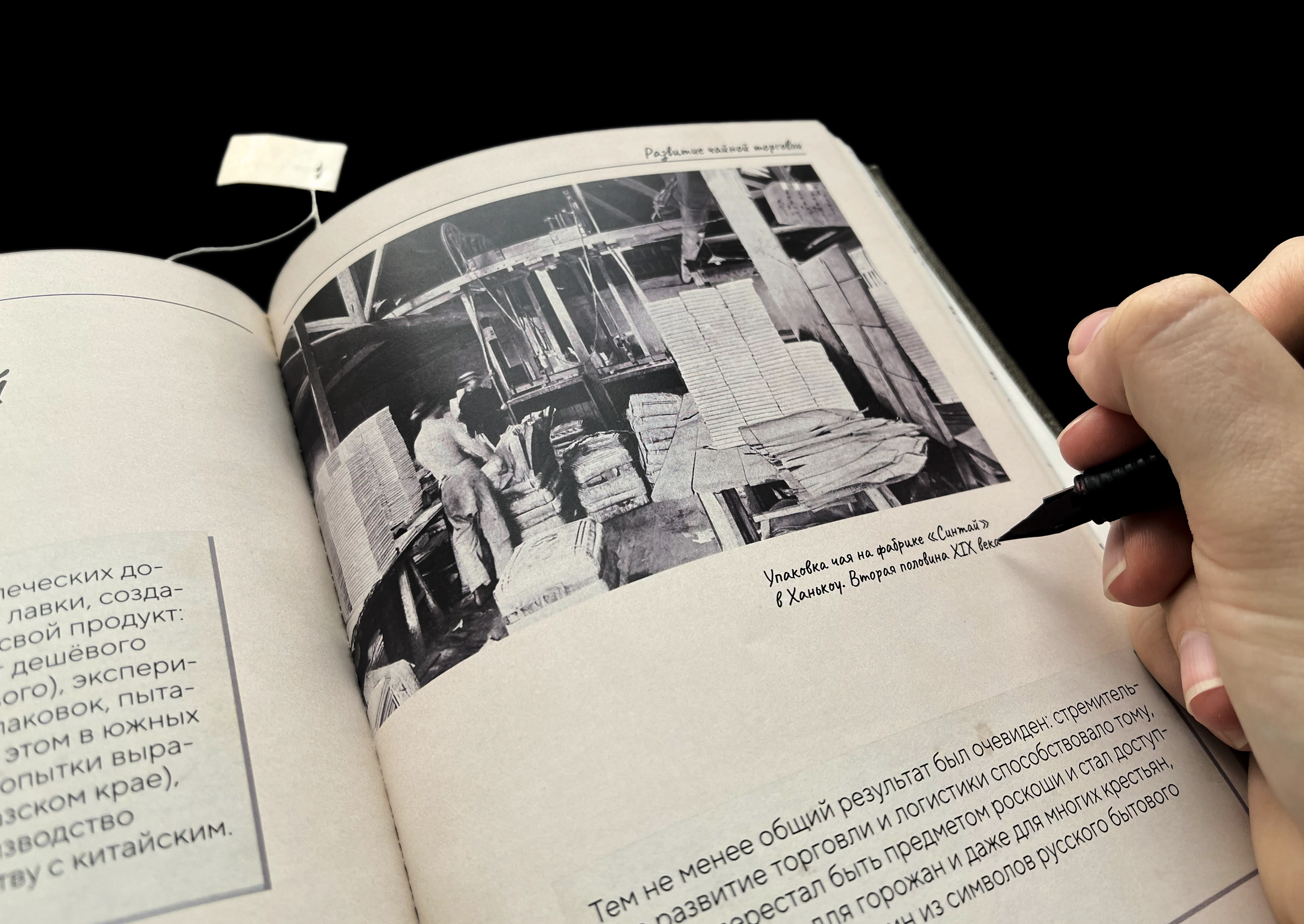 Книга о зарождении чайной культуры в России — Изображение №14 — Графика на Dprofile