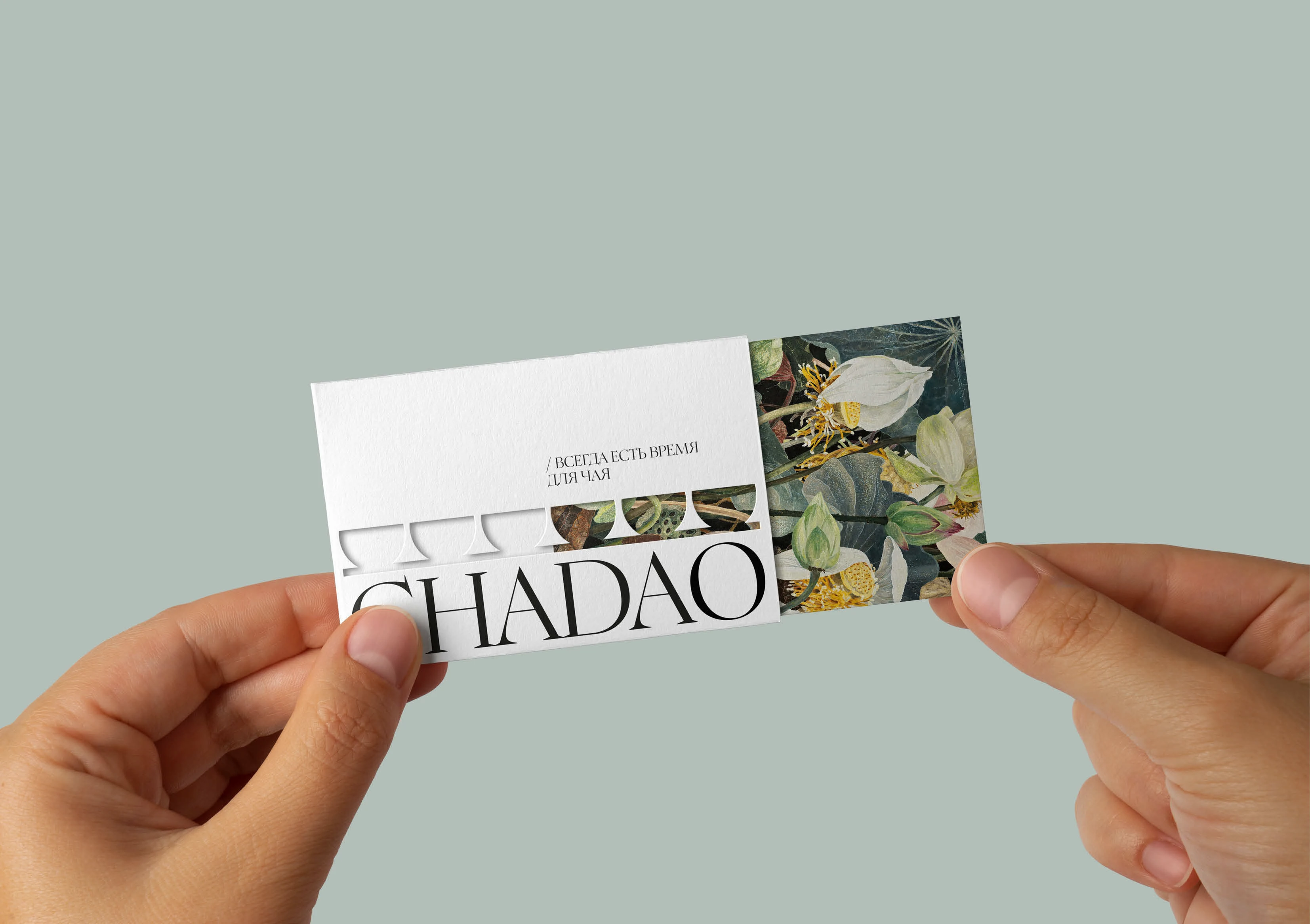 Айдентика для чайного бренда CHADAO — Изображение №1 — Брендинг на Dprofile