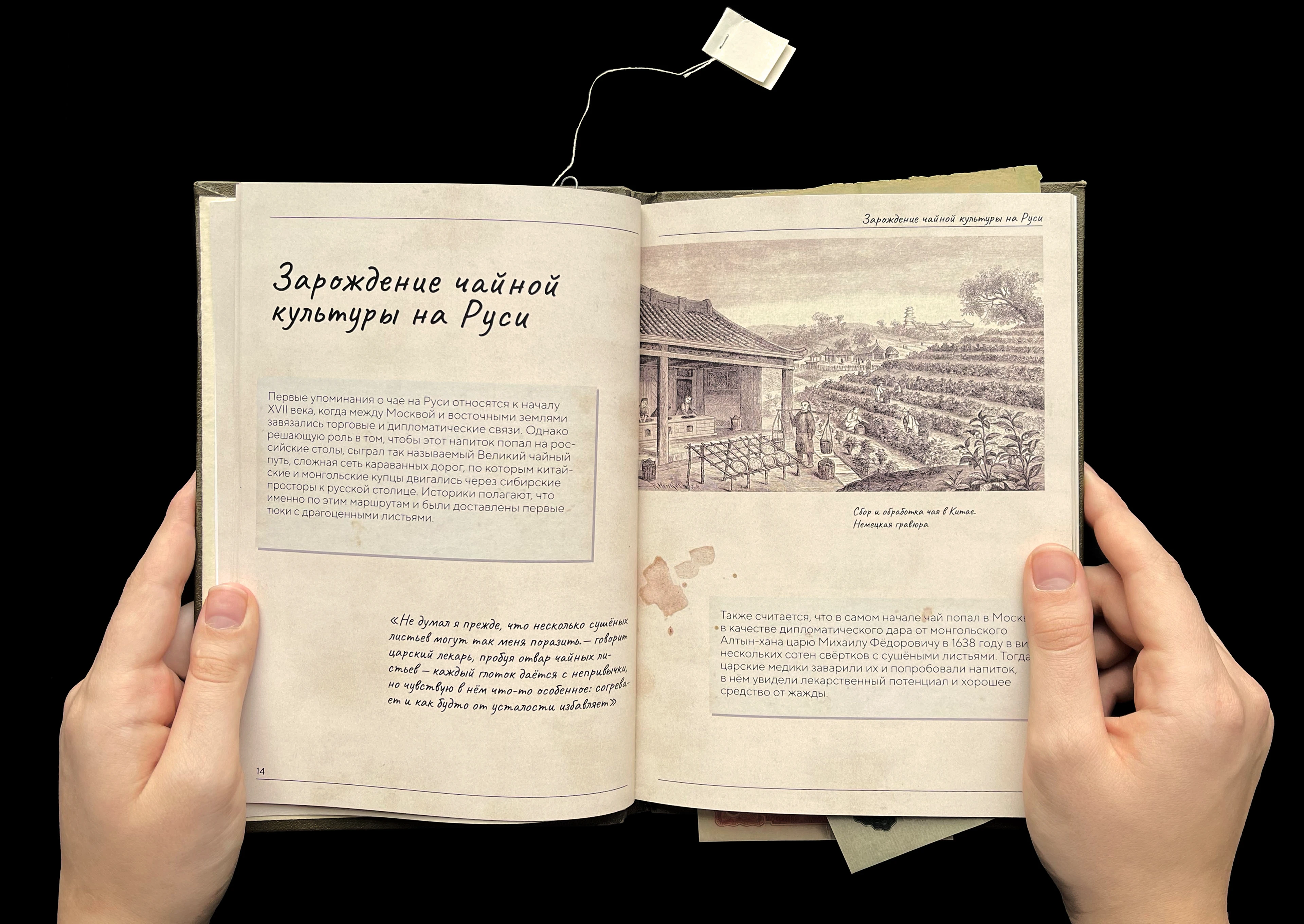 Книга о зарождении чайной культуры в России — Изображение №3 — Графика на Dprofile