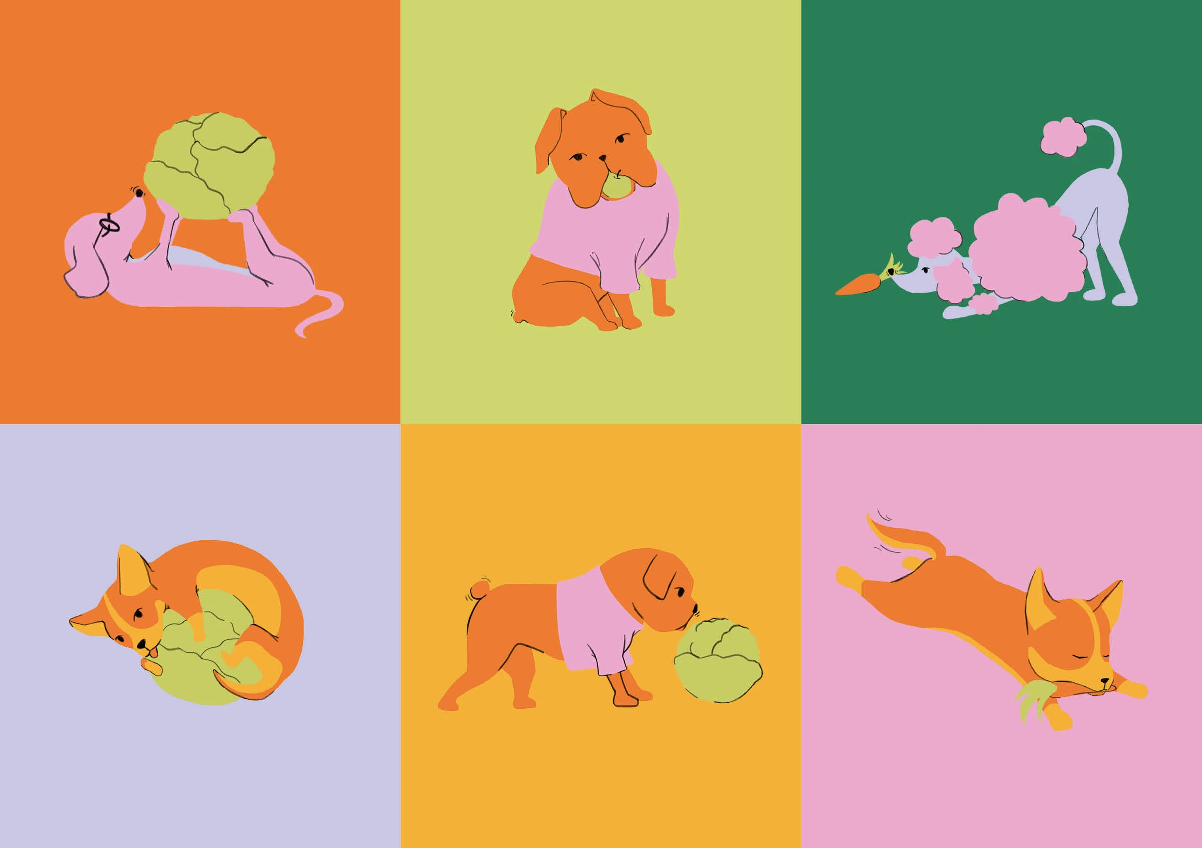 Упаковка для бренда Veggie Tail — Изображение №2 — Иллюстрация, Промдизайн на Dprofile