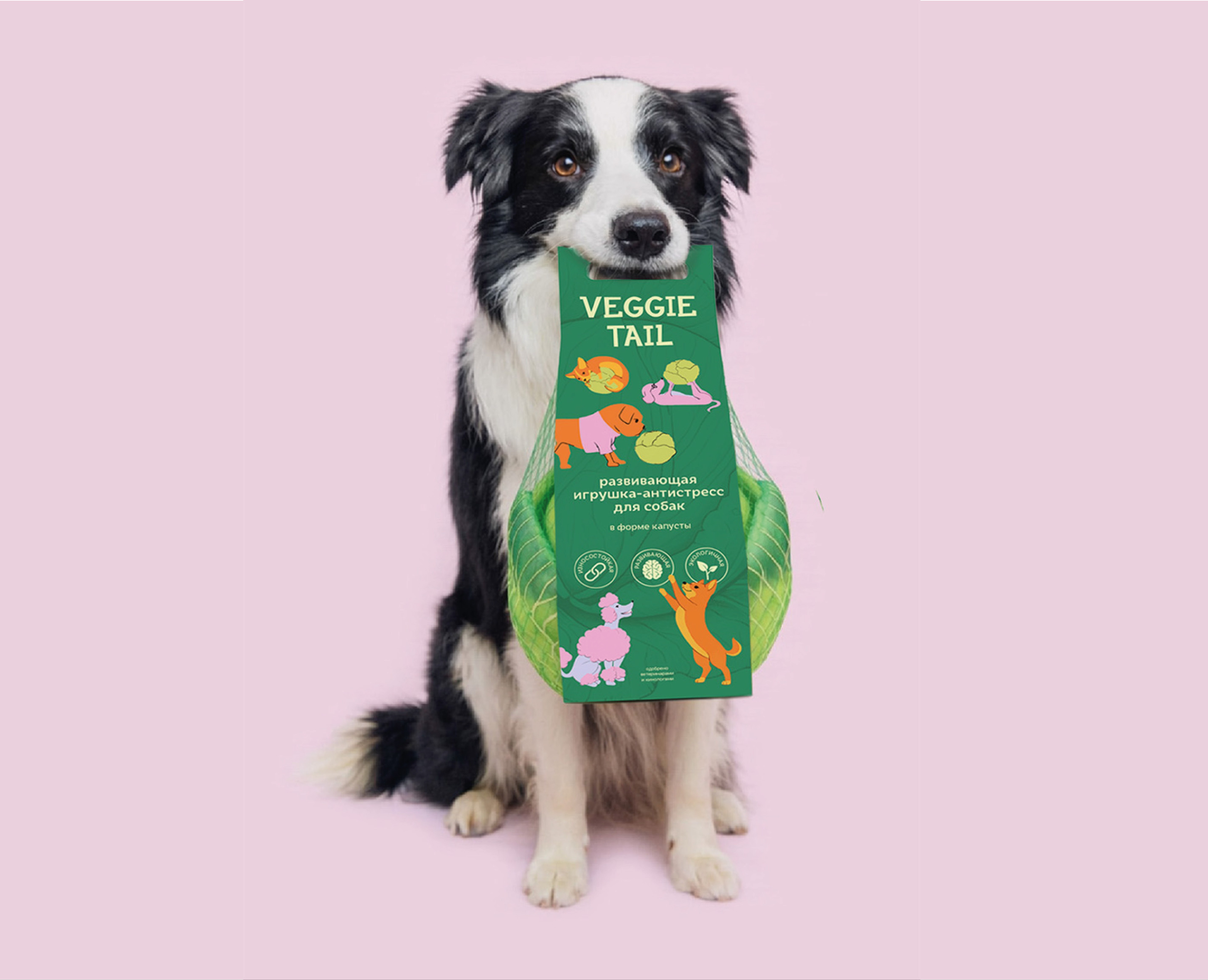 Упаковка для бренда Veggie Tail — Иллюстрация, Промдизайн на Dprofile