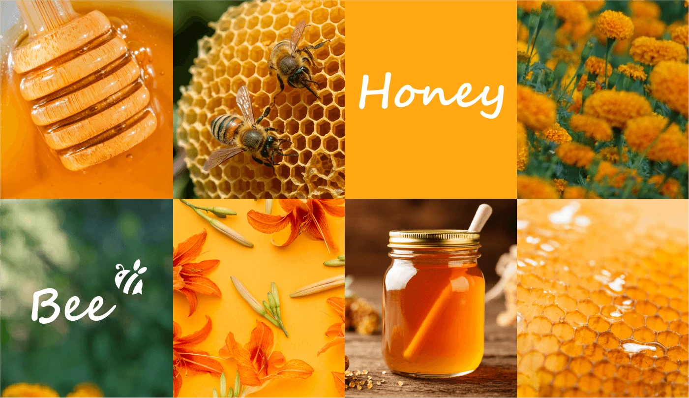 Buzzy Bee logo — Изображение №5 — Брендинг на Dprofile