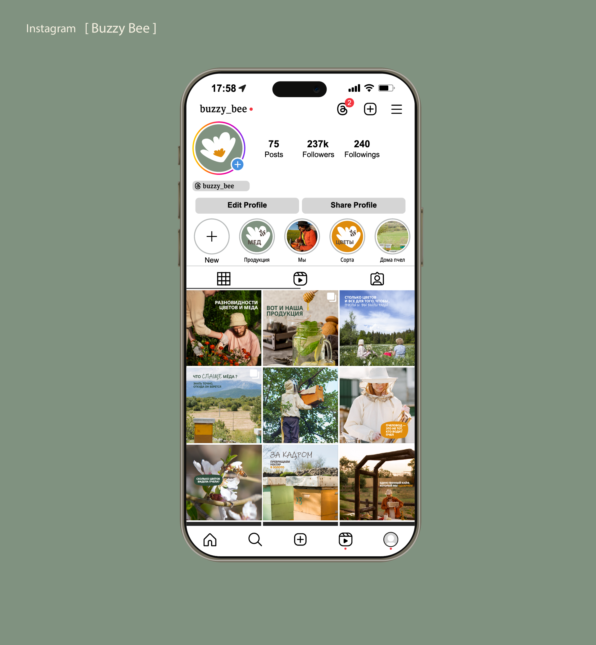 Buzzy Bee logo — Изображение №11 — Брендинг на Dprofile