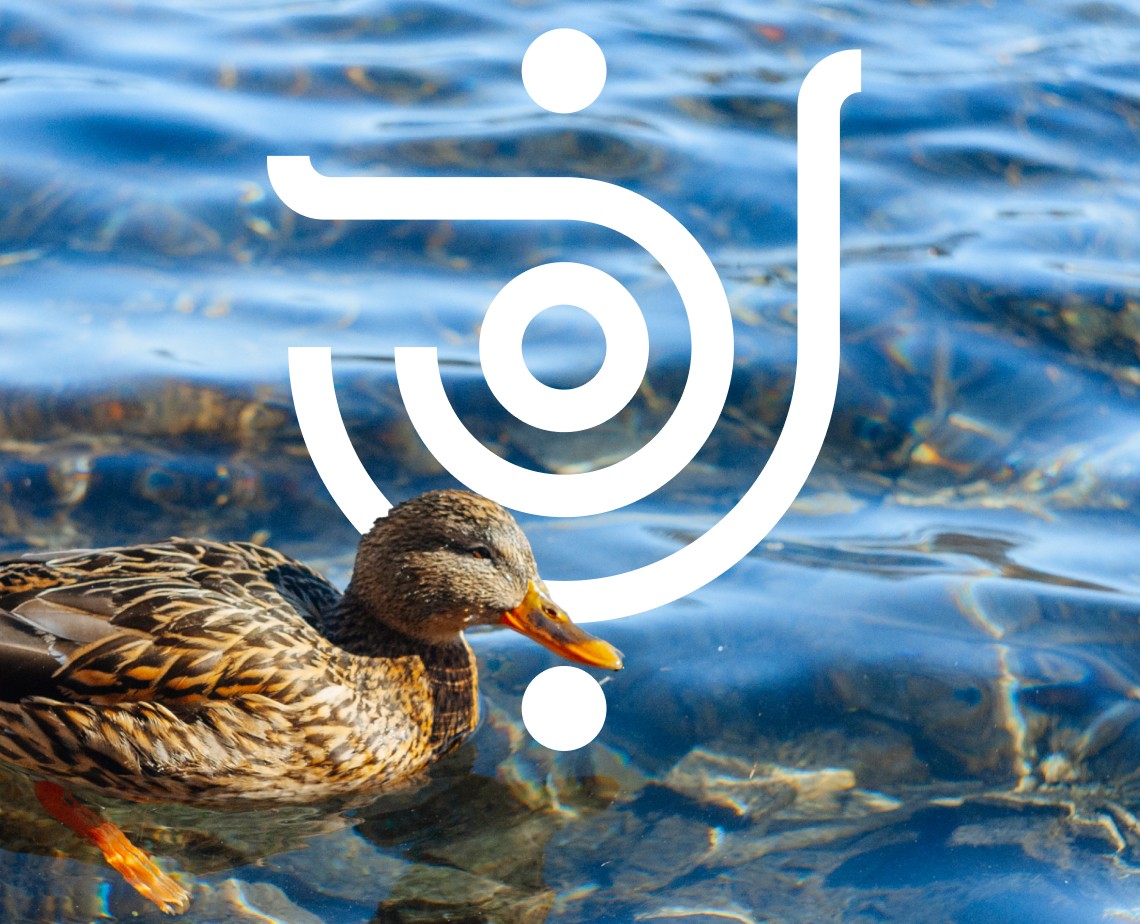 Голубые озера | Навигация — Брендинг, Графика на Dprofile