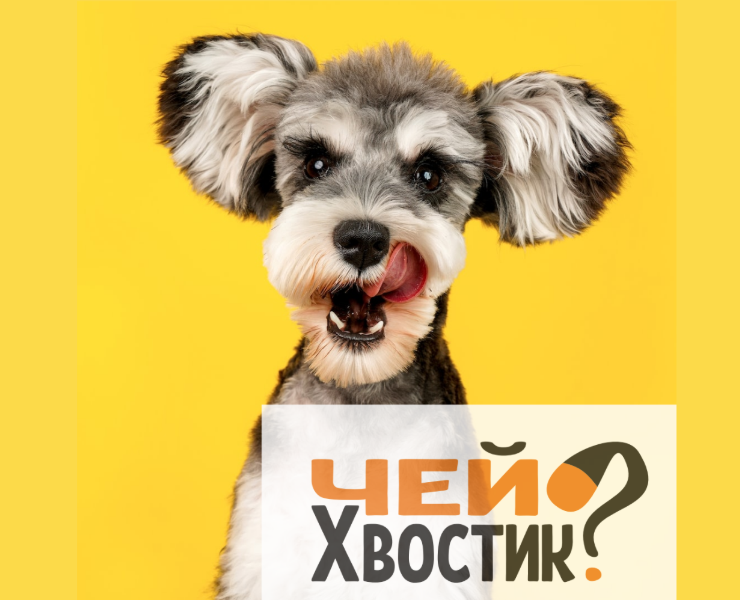 Чей хвостик? — Брендинг на Dprofile