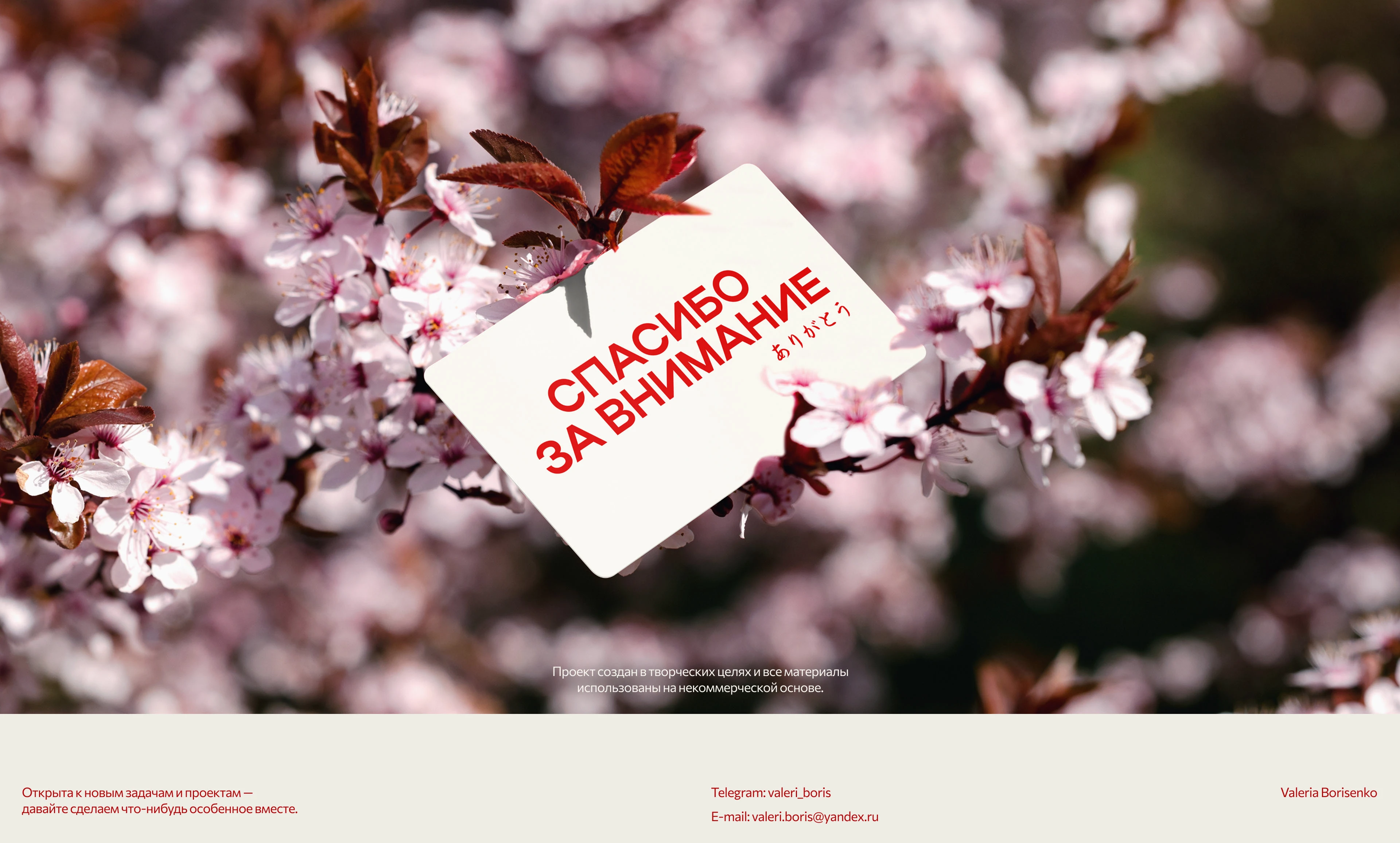 Japanese tableware store / E-commerce design — Изображение №22 — Интерфейсы на Dprofile