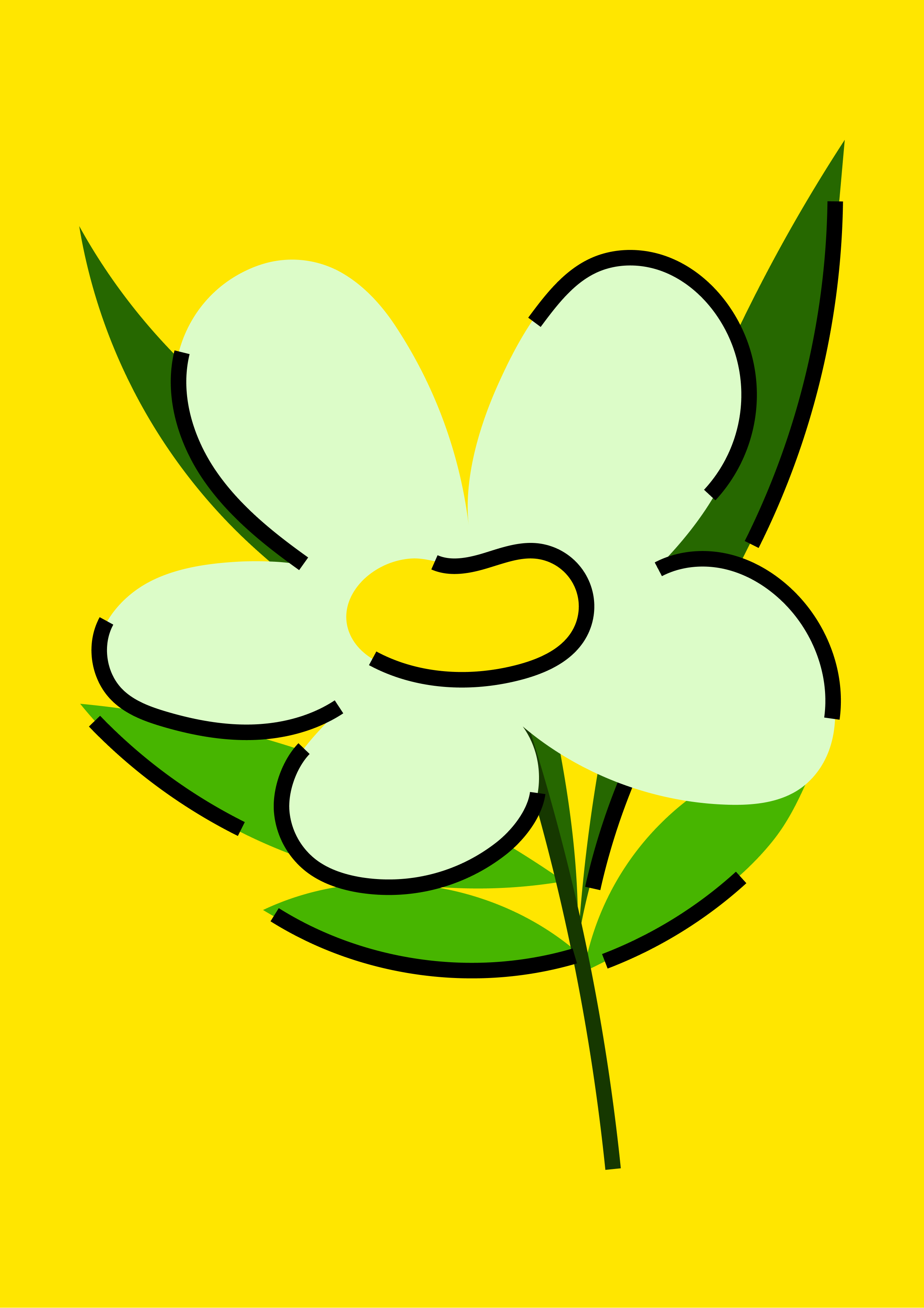 33 Types of Flowers — Illustrations — Изображение №4 — Брендинг, Иллюстрация на Dprofile