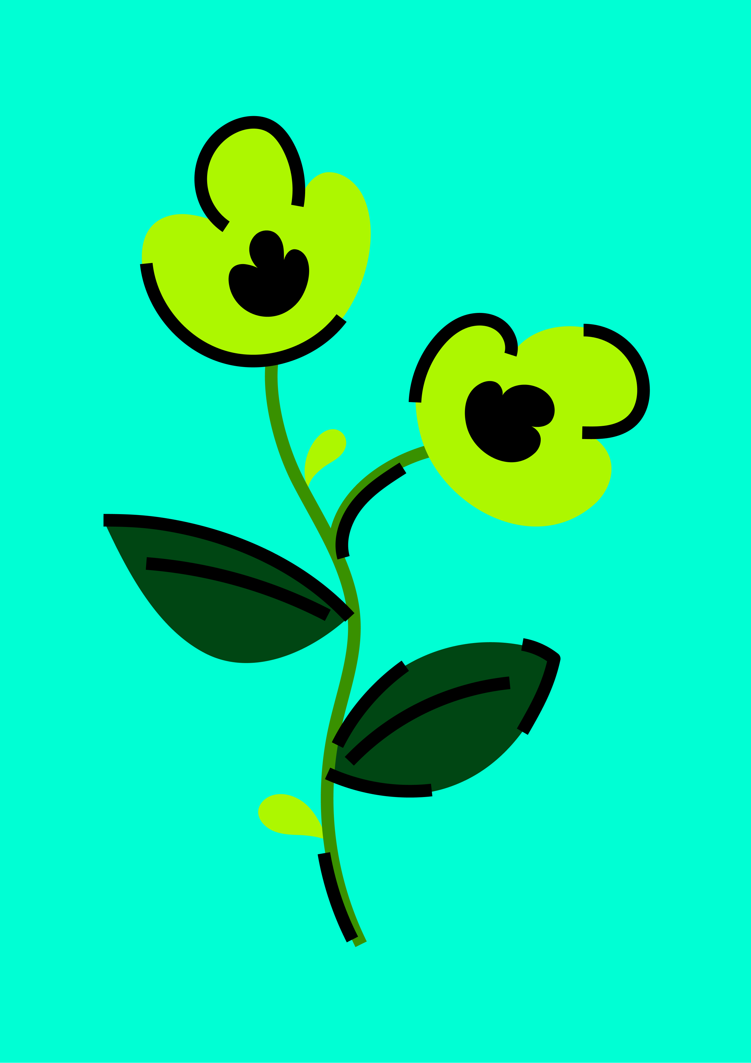 33 Types of Flowers — Illustrations — Изображение №13 — Брендинг, Иллюстрация на Dprofile