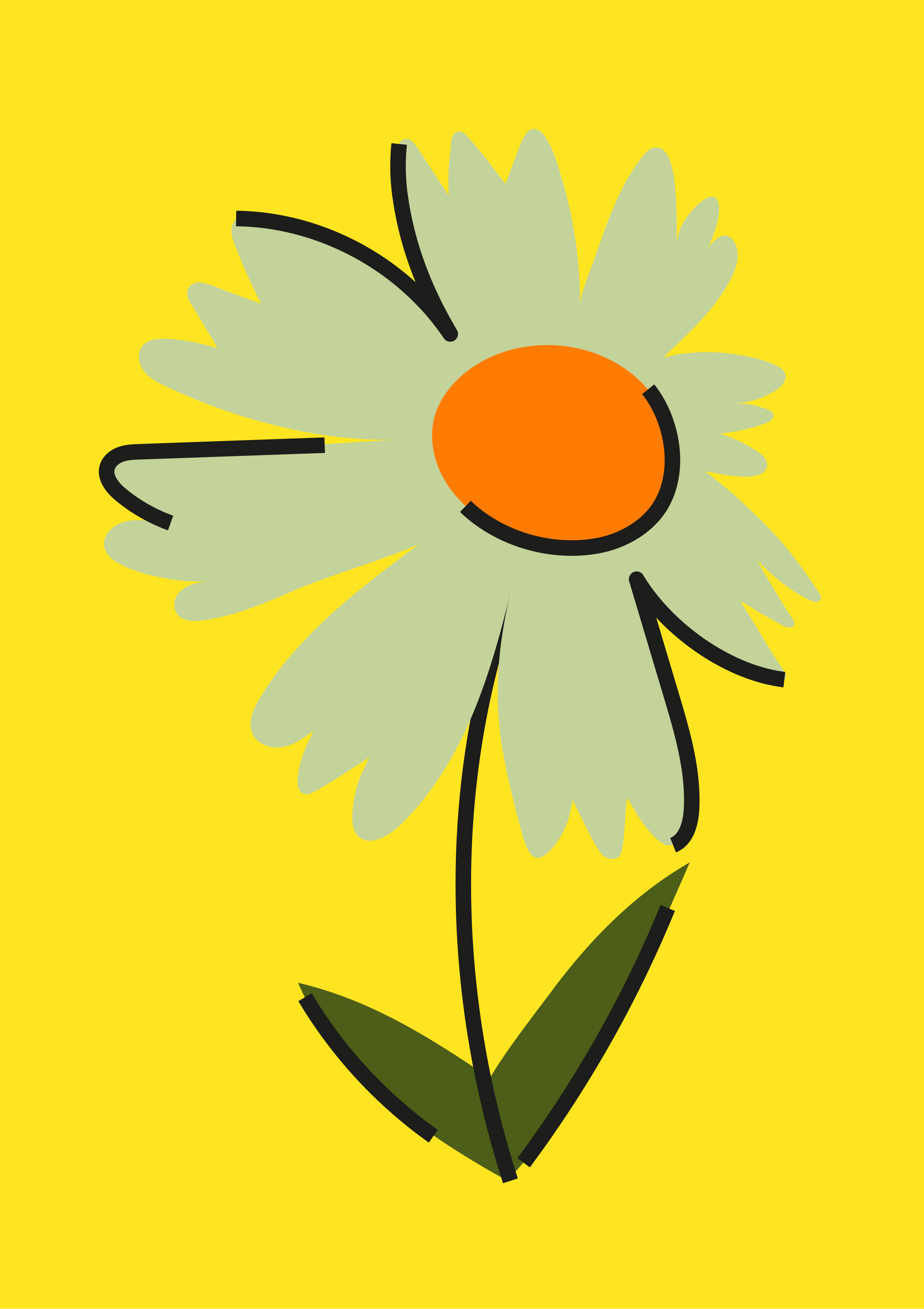 33 Types of Flowers — Illustrations — Изображение №8 — Брендинг, Иллюстрация на Dprofile