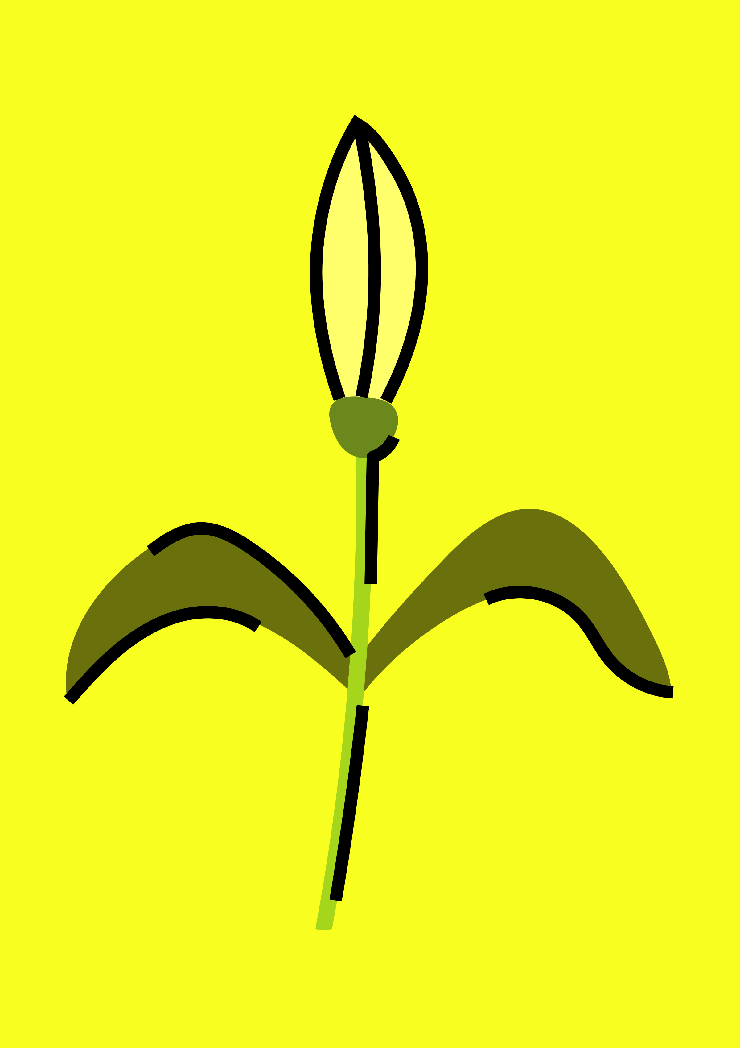 33 Types of Flowers — Illustrations — Изображение №30 — Брендинг, Иллюстрация на Dprofile