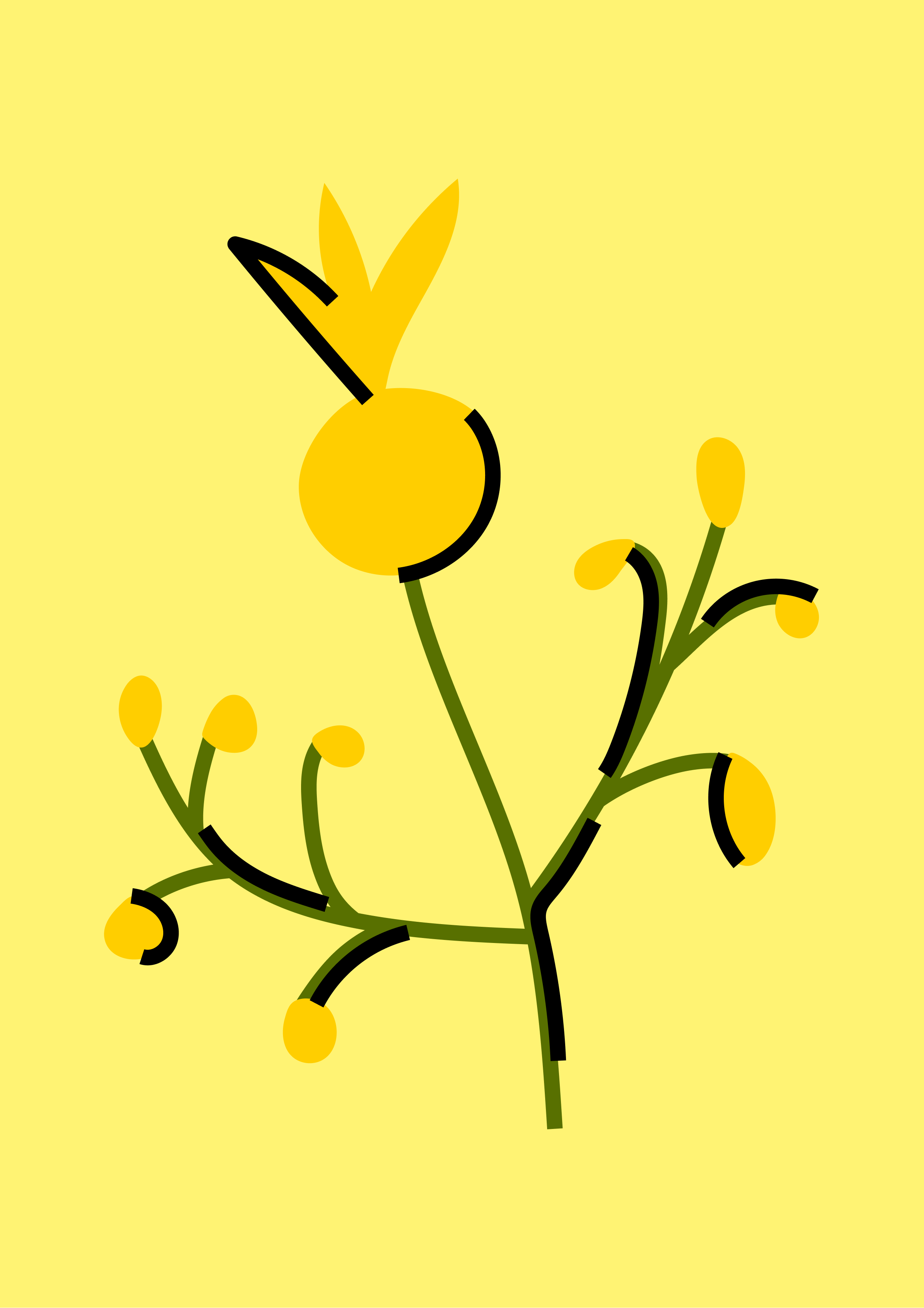 33 Types of Flowers — Illustrations — Изображение №29 — Брендинг, Иллюстрация на Dprofile