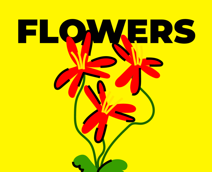 33 Types of Flowers — Illustrations на Dprofile